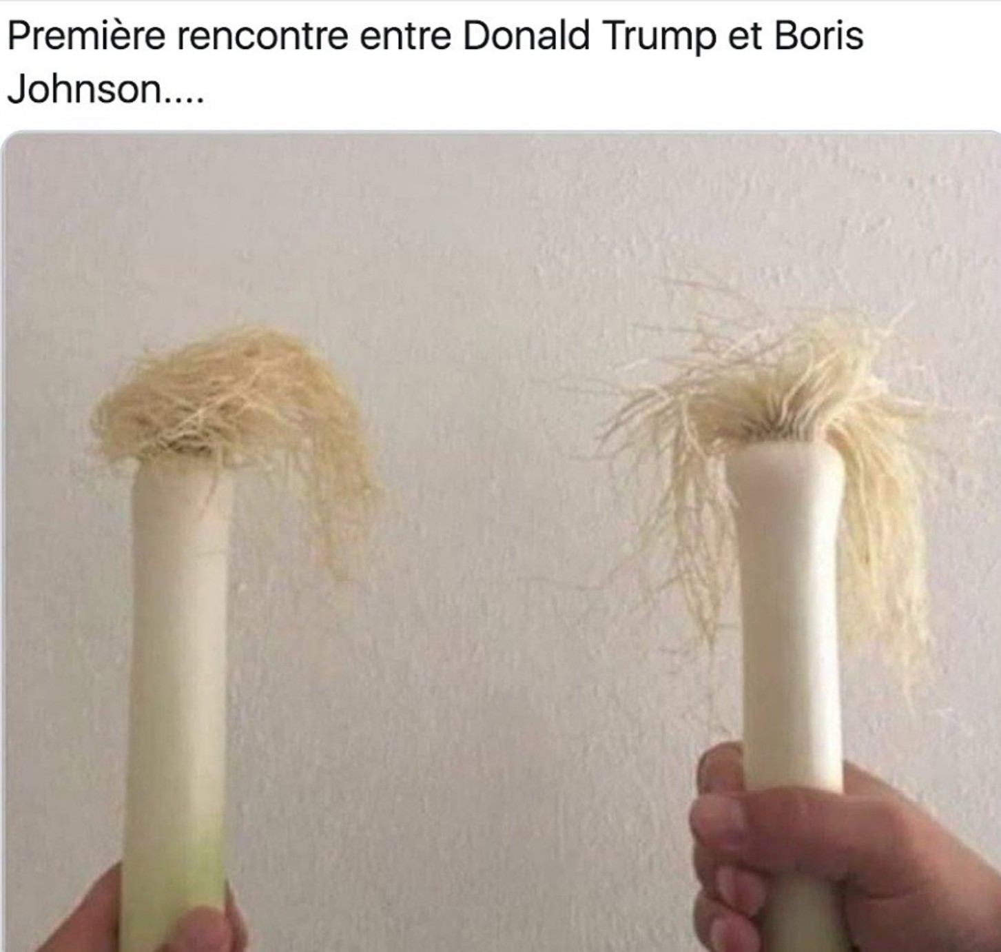 1ere_rencontre_entre_Donald_Boris-_-