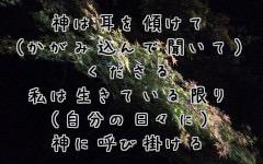 詩編１１６：２