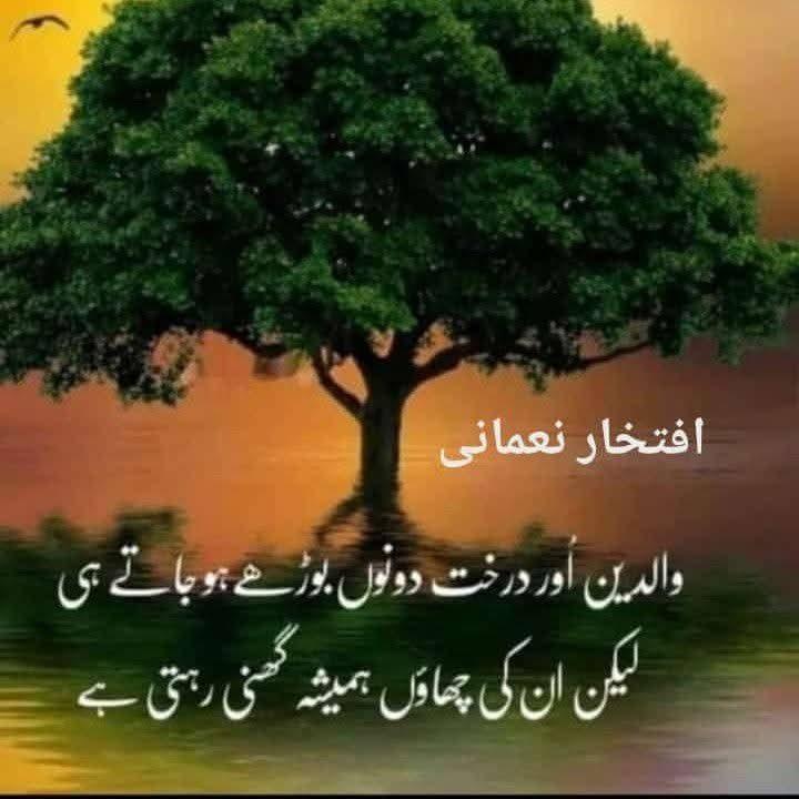 FB_IMG_1739725169593