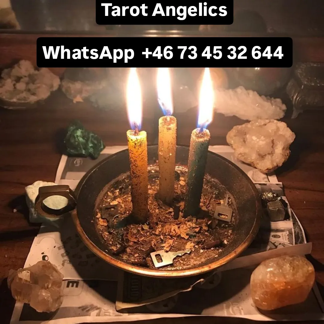 IMG_20251105_075554_475