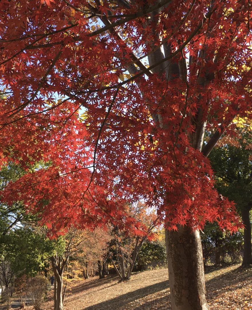 D3B6E703-A7ED-4A7F-81BF-77BB5EF6B364