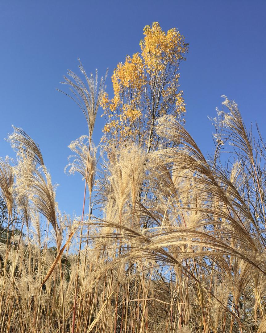 3F893600-4049-4742-BD17-6616EDF3658D