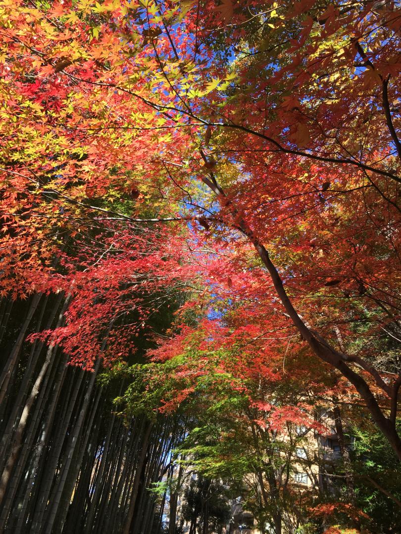 84D38C59-3CD5-4310-8586-A7F0B7858392