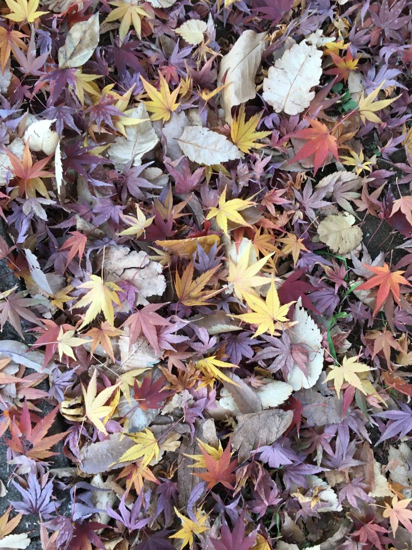 459612D7-A049-4C64-B6B7-4CDEF52D95CD