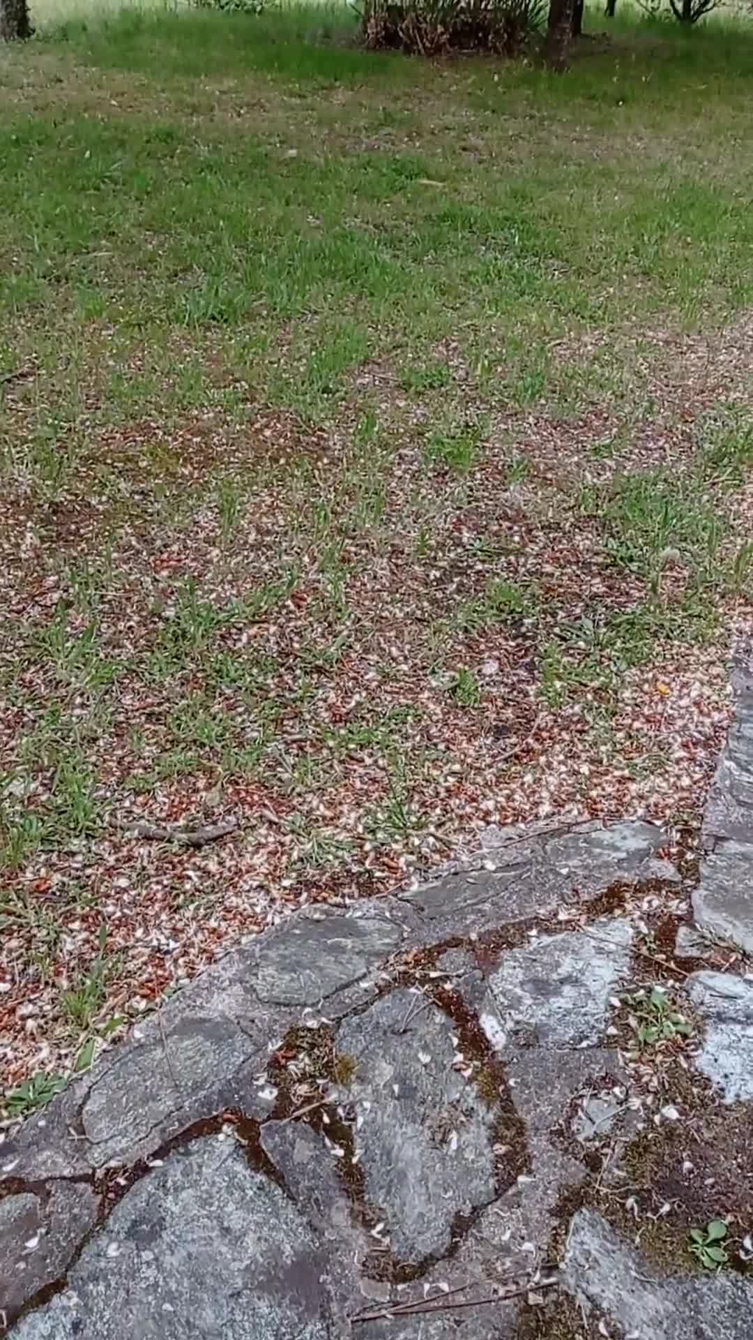 VID_20210525_202641