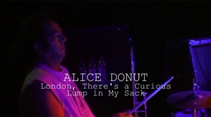 ALICE_DONUT_LIVE2004