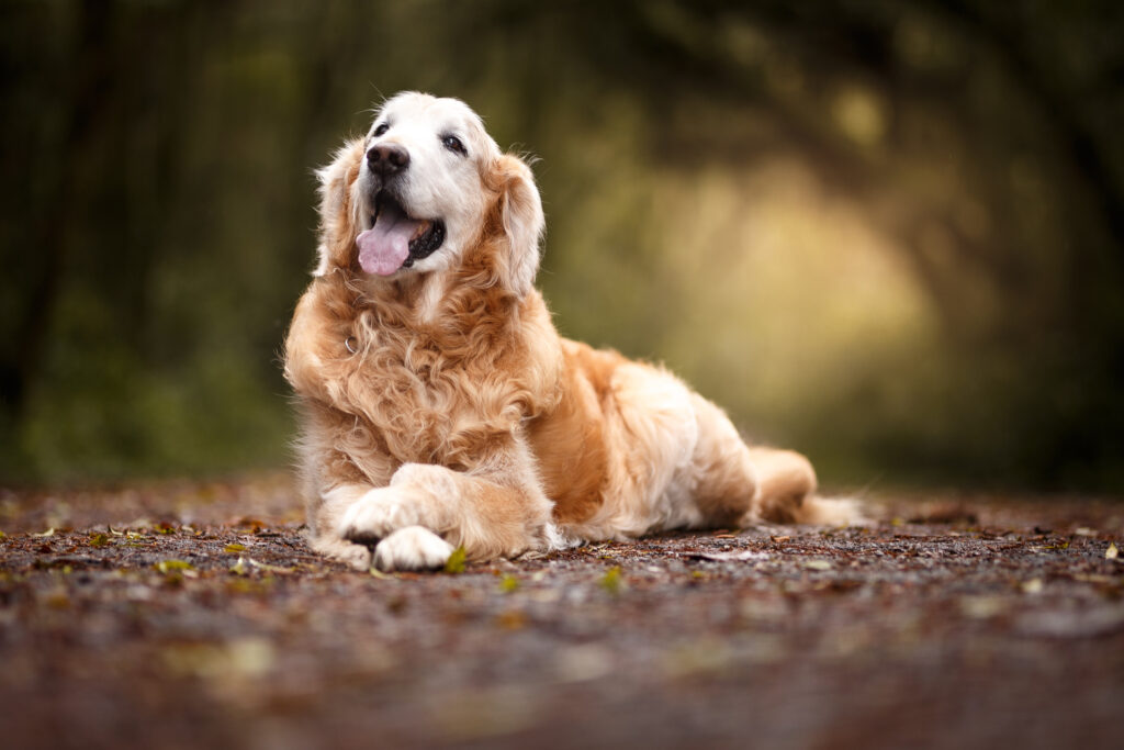 iStock-1052880600-1024x683