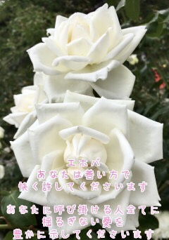 98A19454-9D5C-4D7D-B0FF-38D465BFE3AD