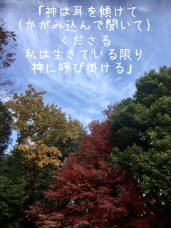 詩編116：2