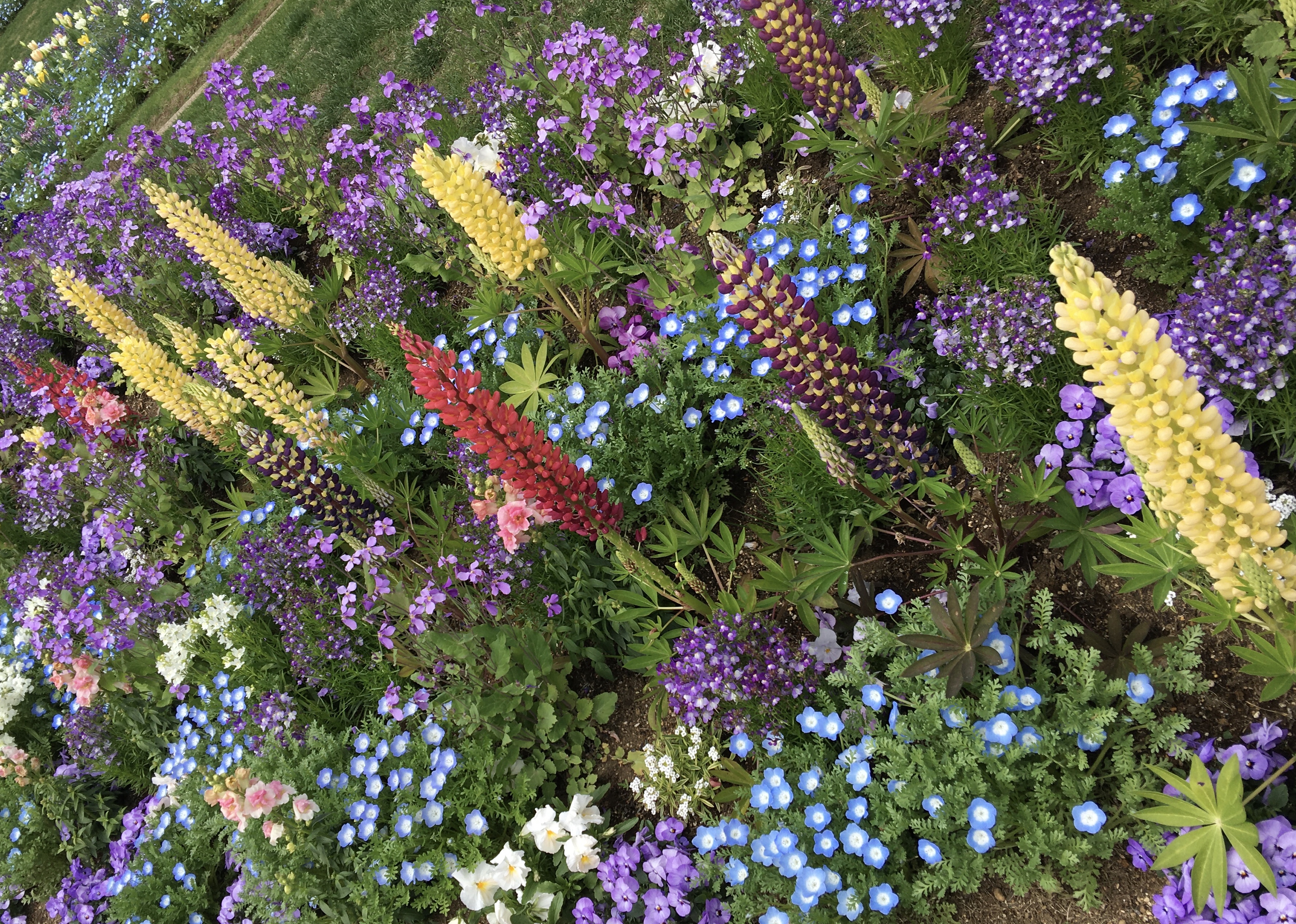 00761F08-5FC8-46EB-9B15-61C8FA8F78A5