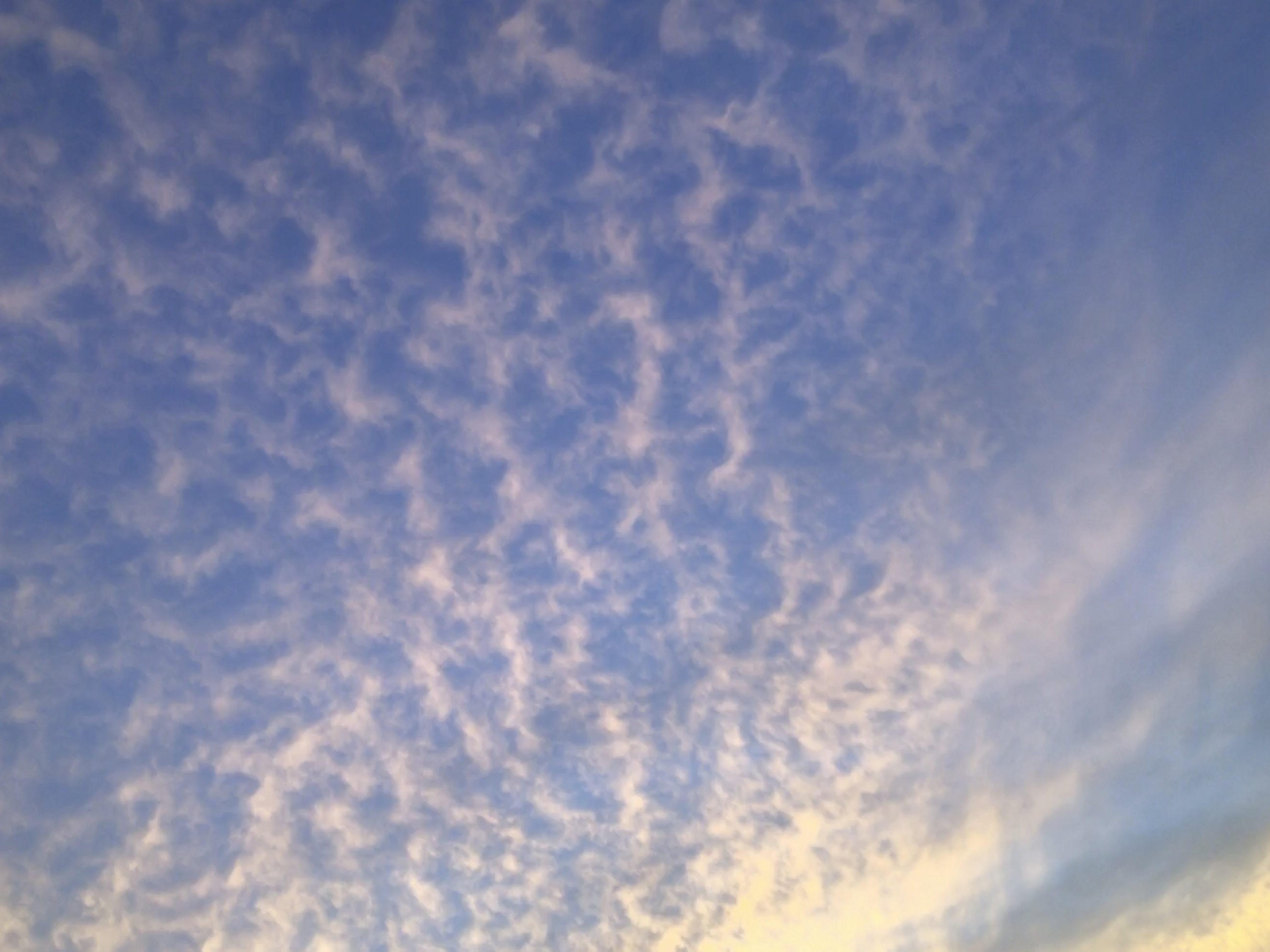 0219C0EC-A6DB-4BD6-BEC7-DD2CA0652E34