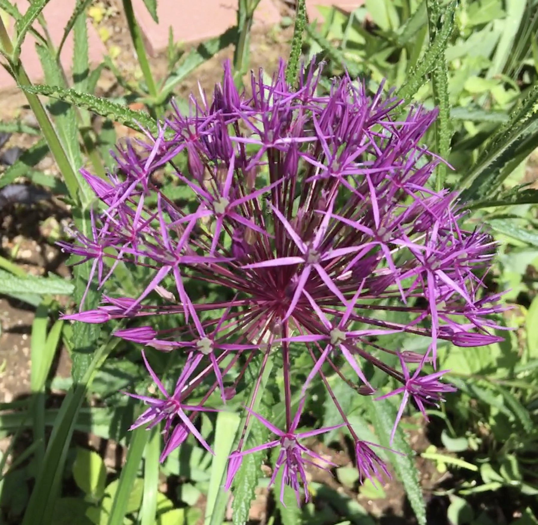 0612F5A7-0BAA-4739-92F3-EF678447CA85