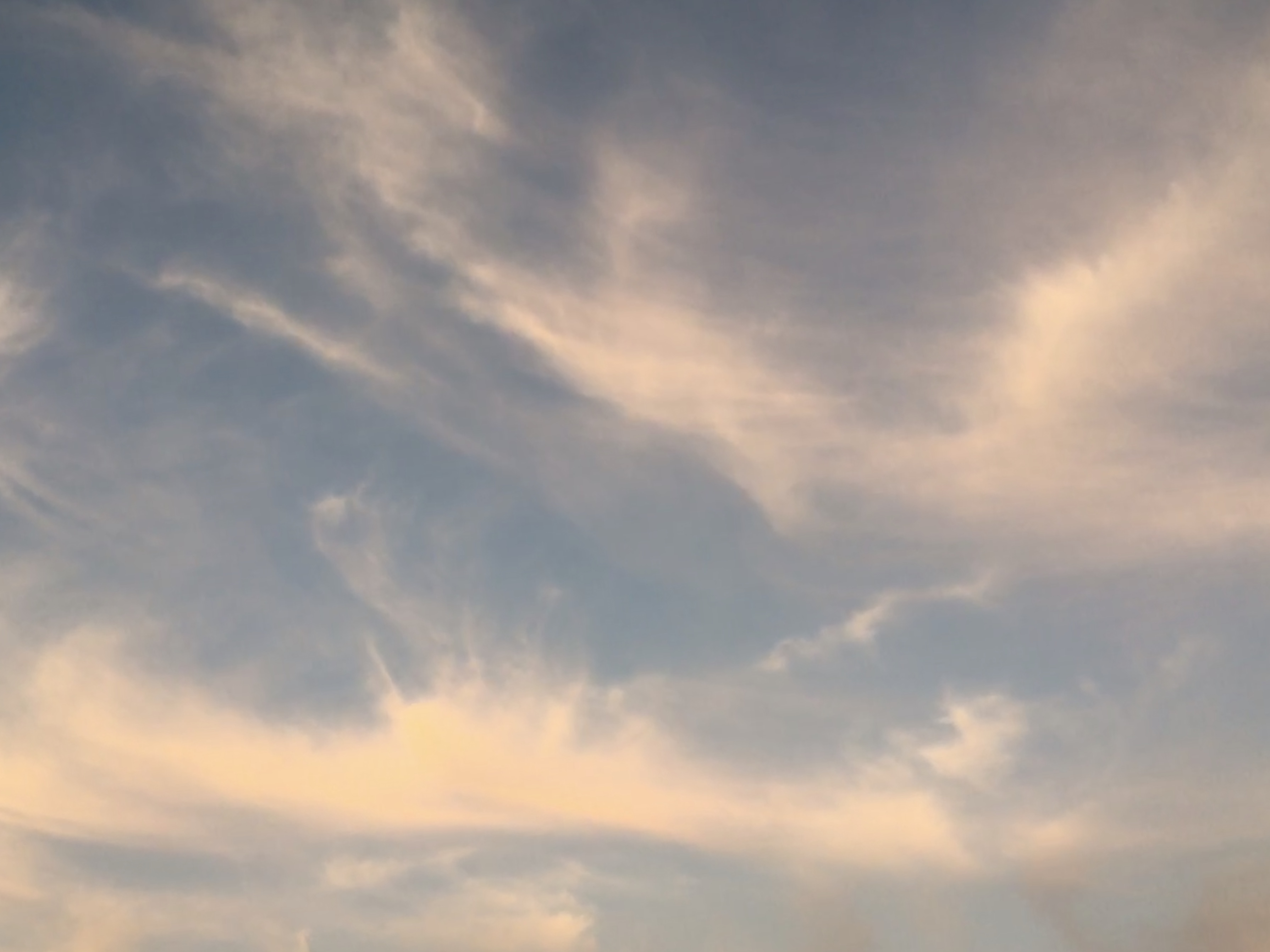 29483723-036E-4D9B-B3F2-4AAAC76450EF
