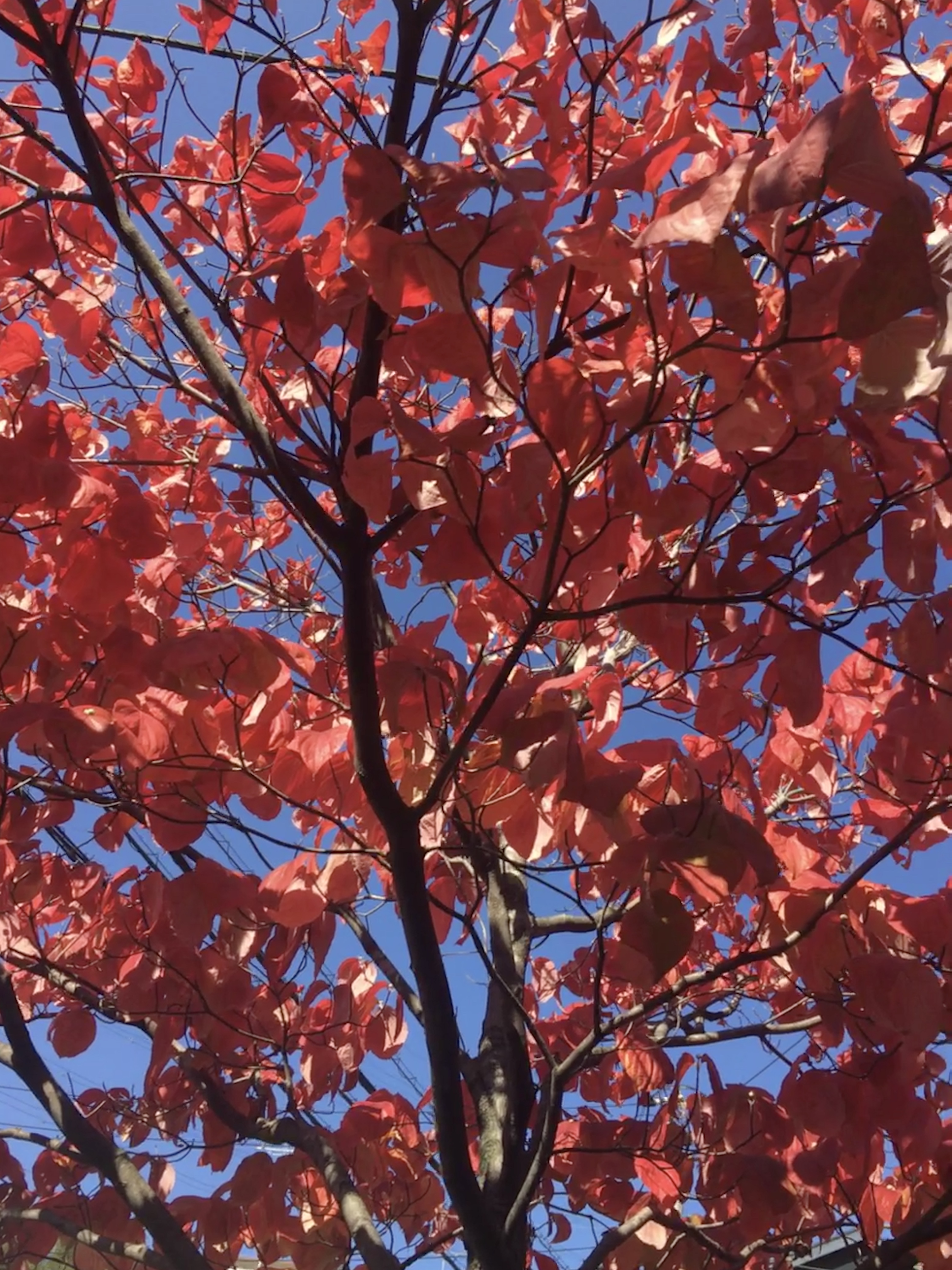 3188EF7D-06A6-463E-8EFA-02D4E408C349