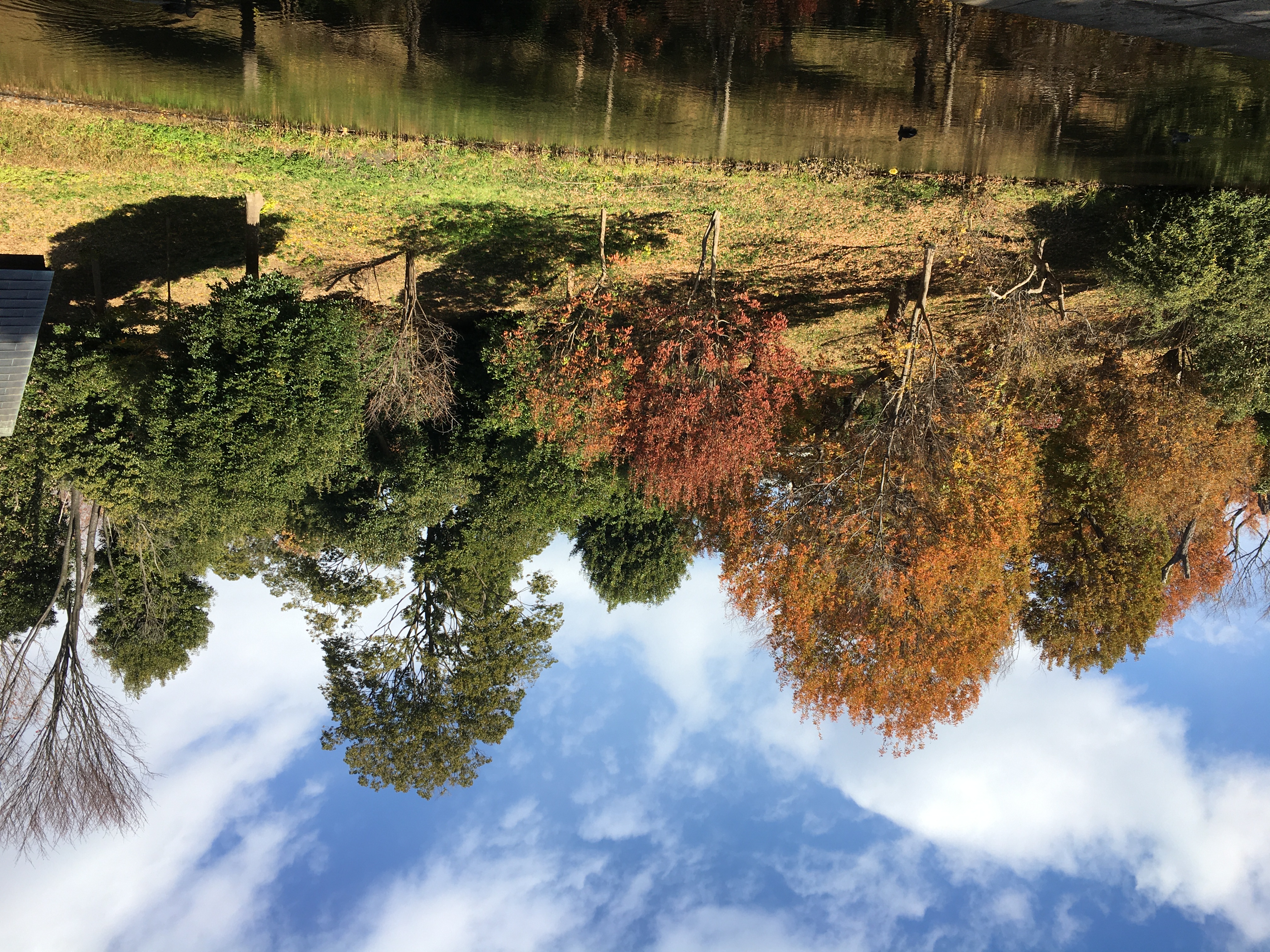 33ED2E44-D667-485C-B2CB-E16C7D2C0811