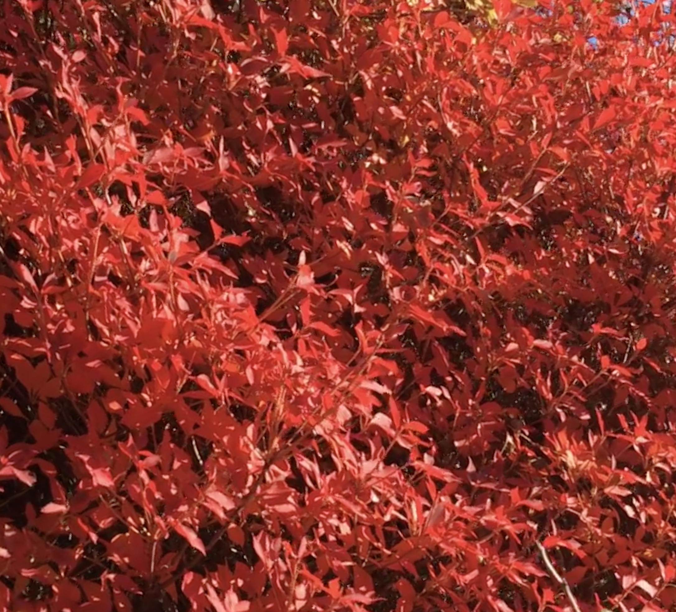 3C07CD42-68F5-4008-9B42-E410A892E153