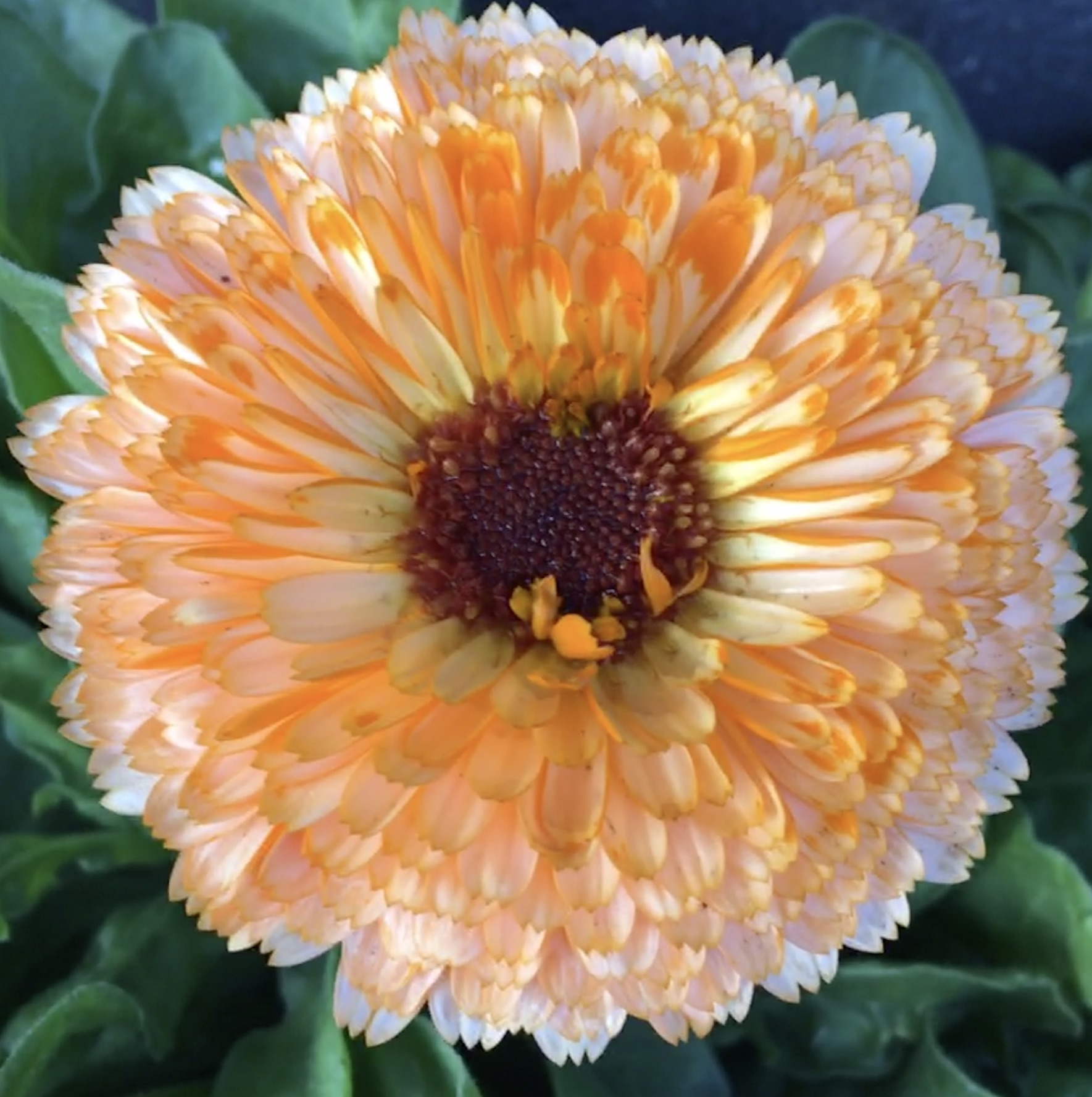 3D8C33F1-203B-49BA-A620-69FC19140F34