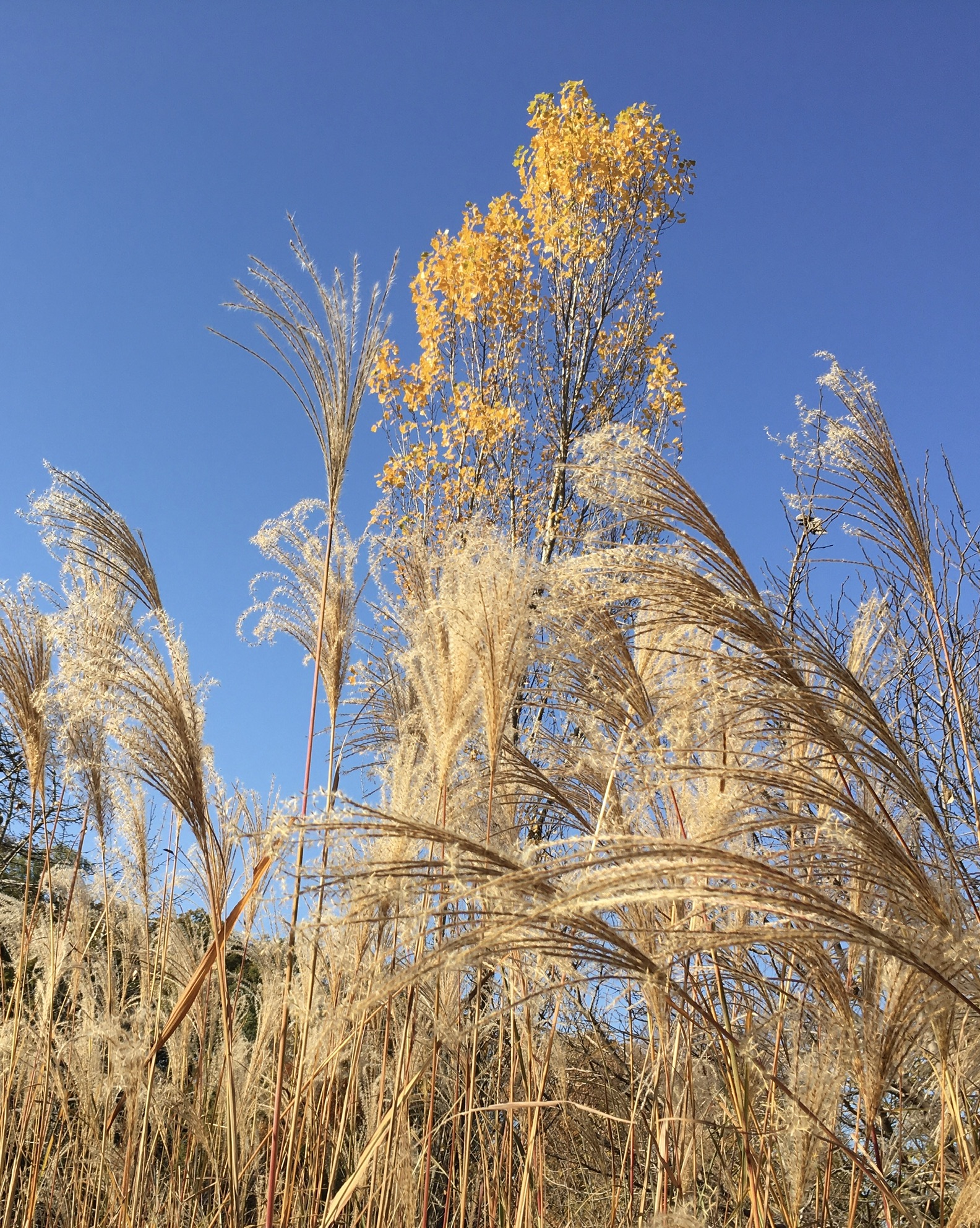 3F893600-4049-4742-BD17-6616EDF3658D