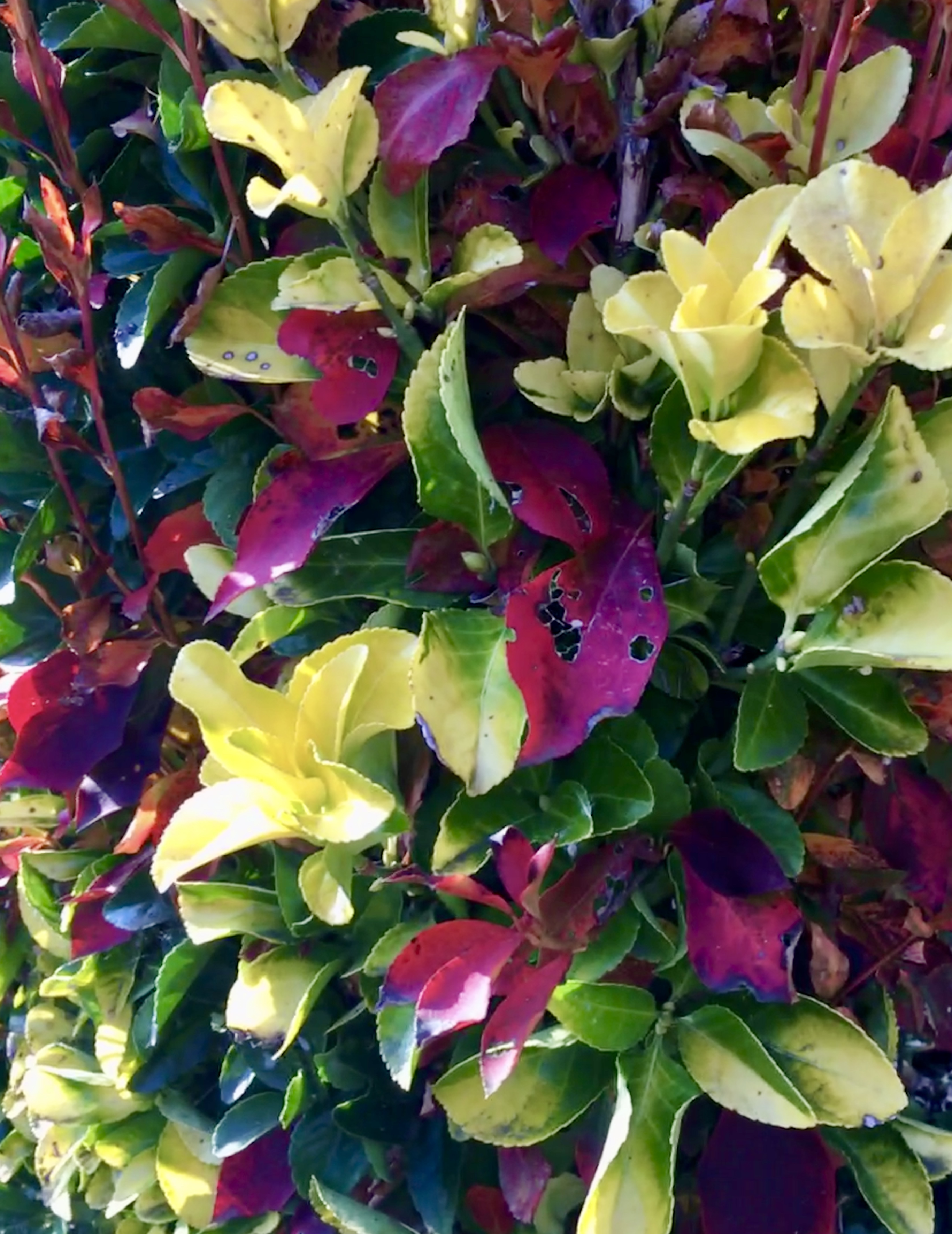 41A956BF-A4A2-424B-9E4E-B46F67BCA061