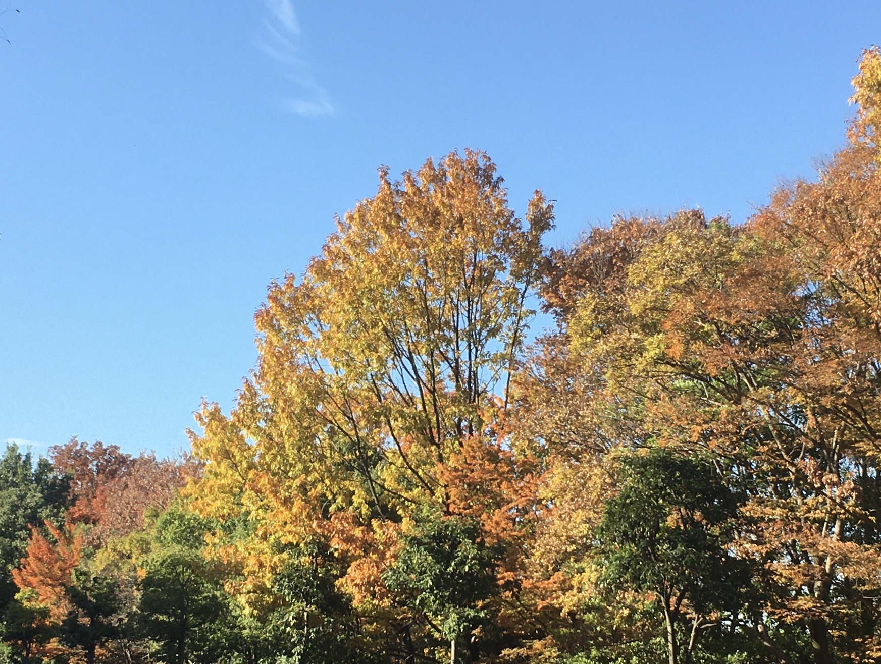 551D5990-C7AB-4498-BEFB-7F3F9595D8DF