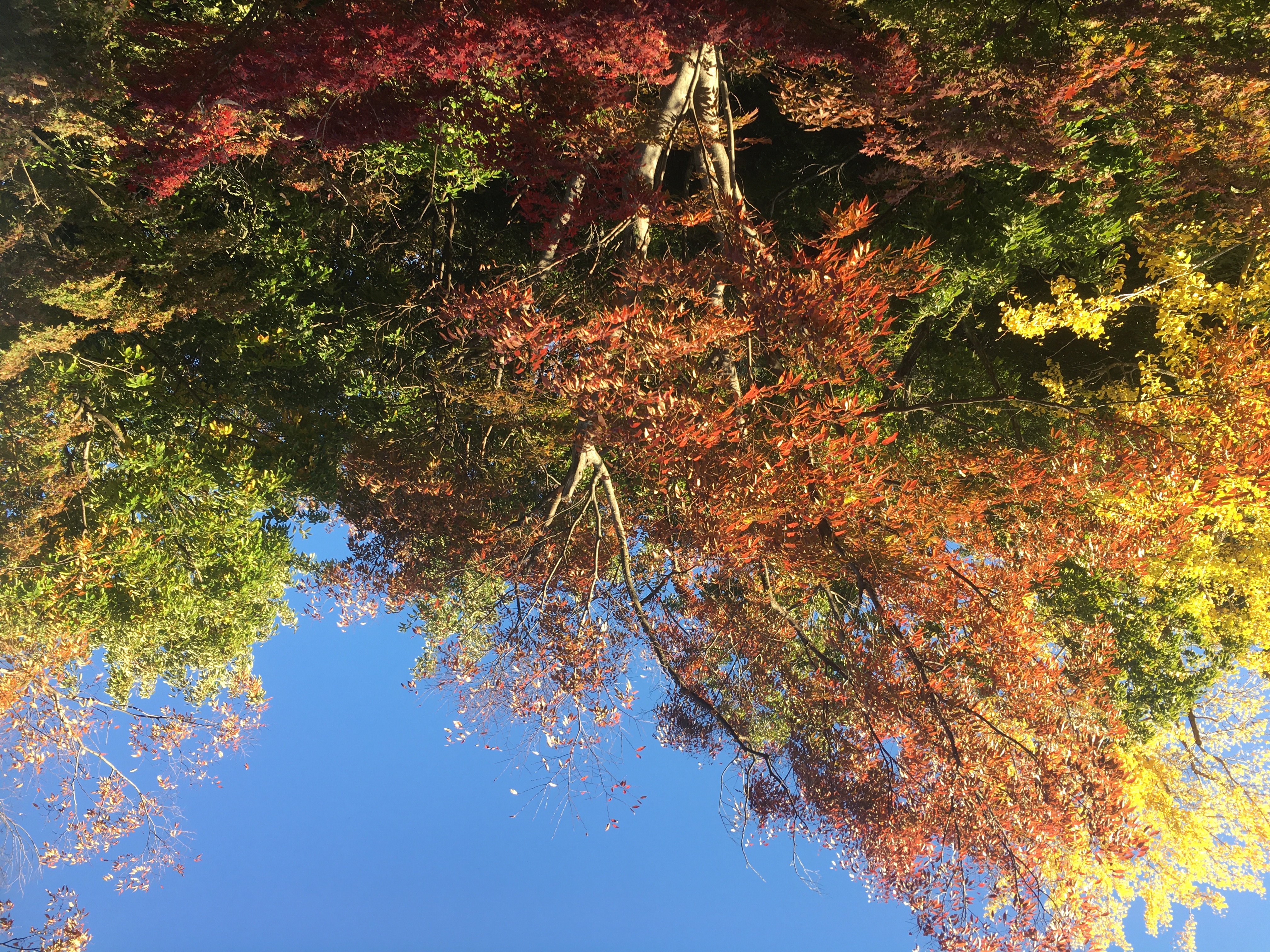 5DE100D5-2F11-49C6-AFEA-141AC66C3613