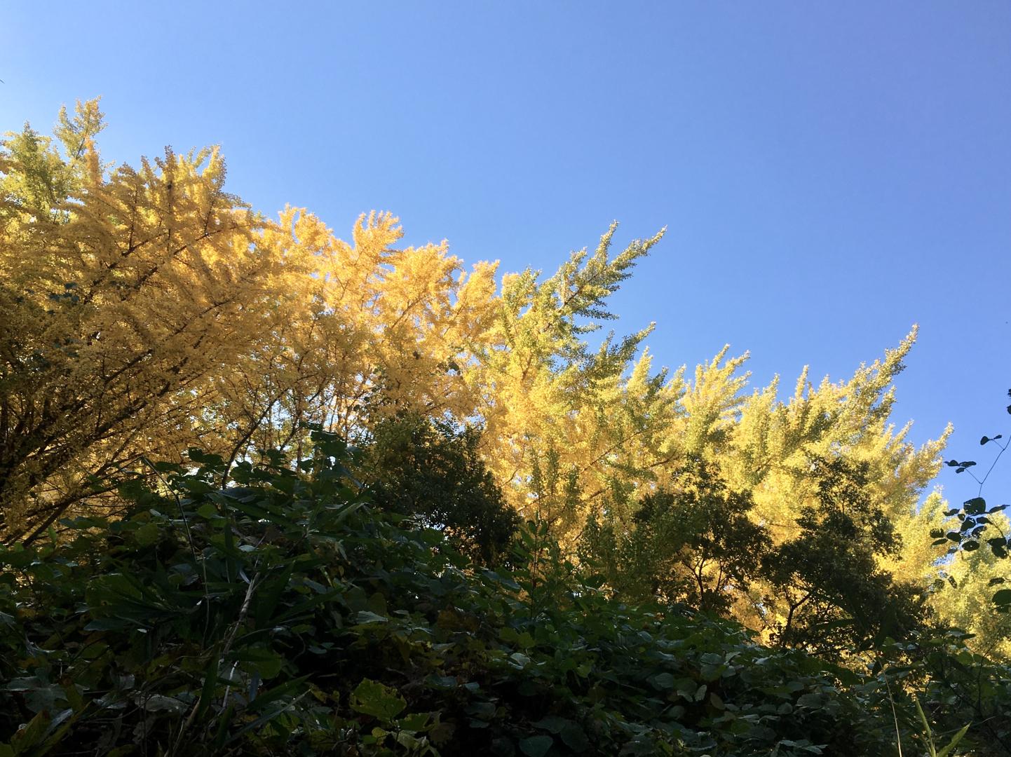 5DF00D70-5F64-4002-BD7D-2440634EF6D6