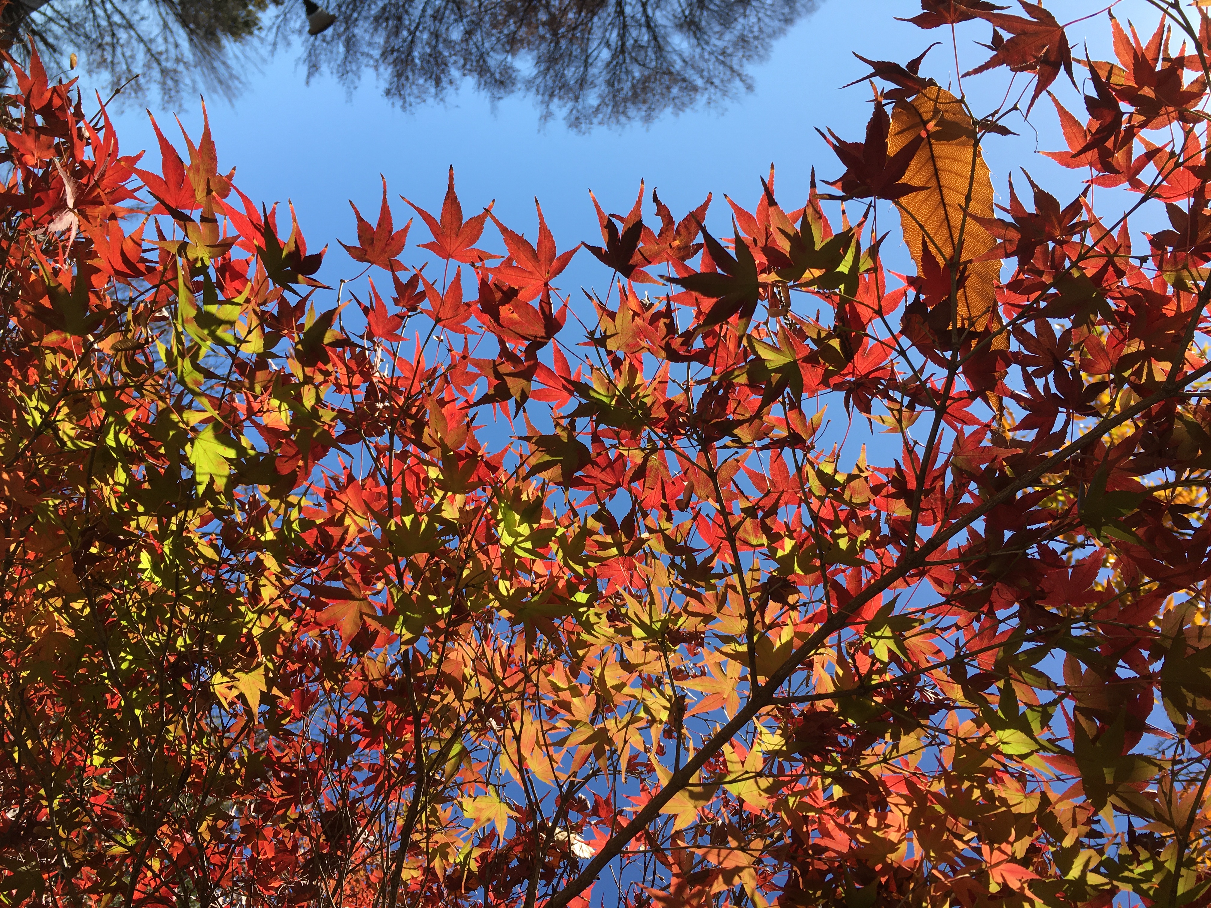 613E968D-1F1C-41FE-A753-A0AAEFD5C694