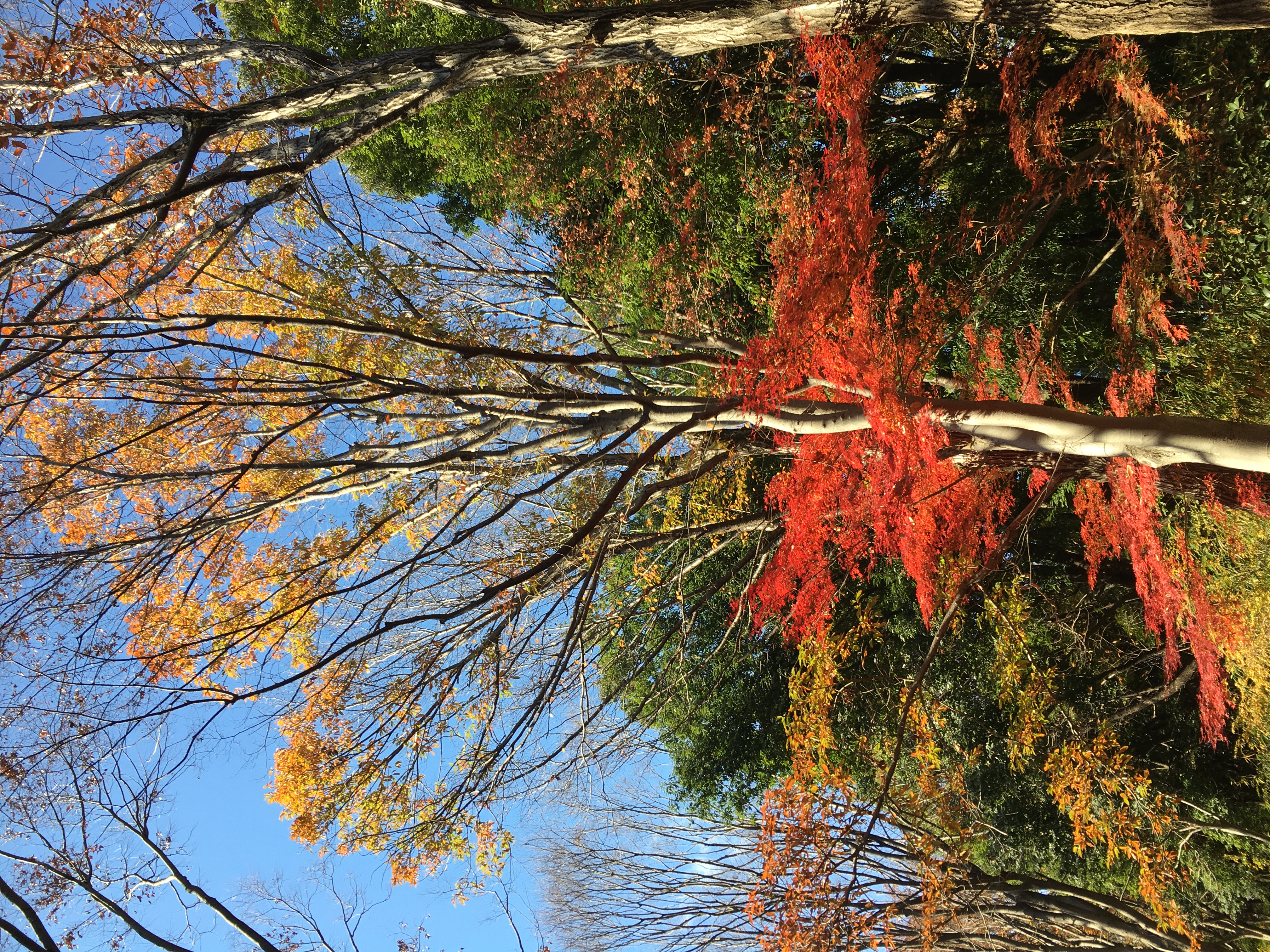 68E8160B-14F7-4865-BE76-86A54320F677