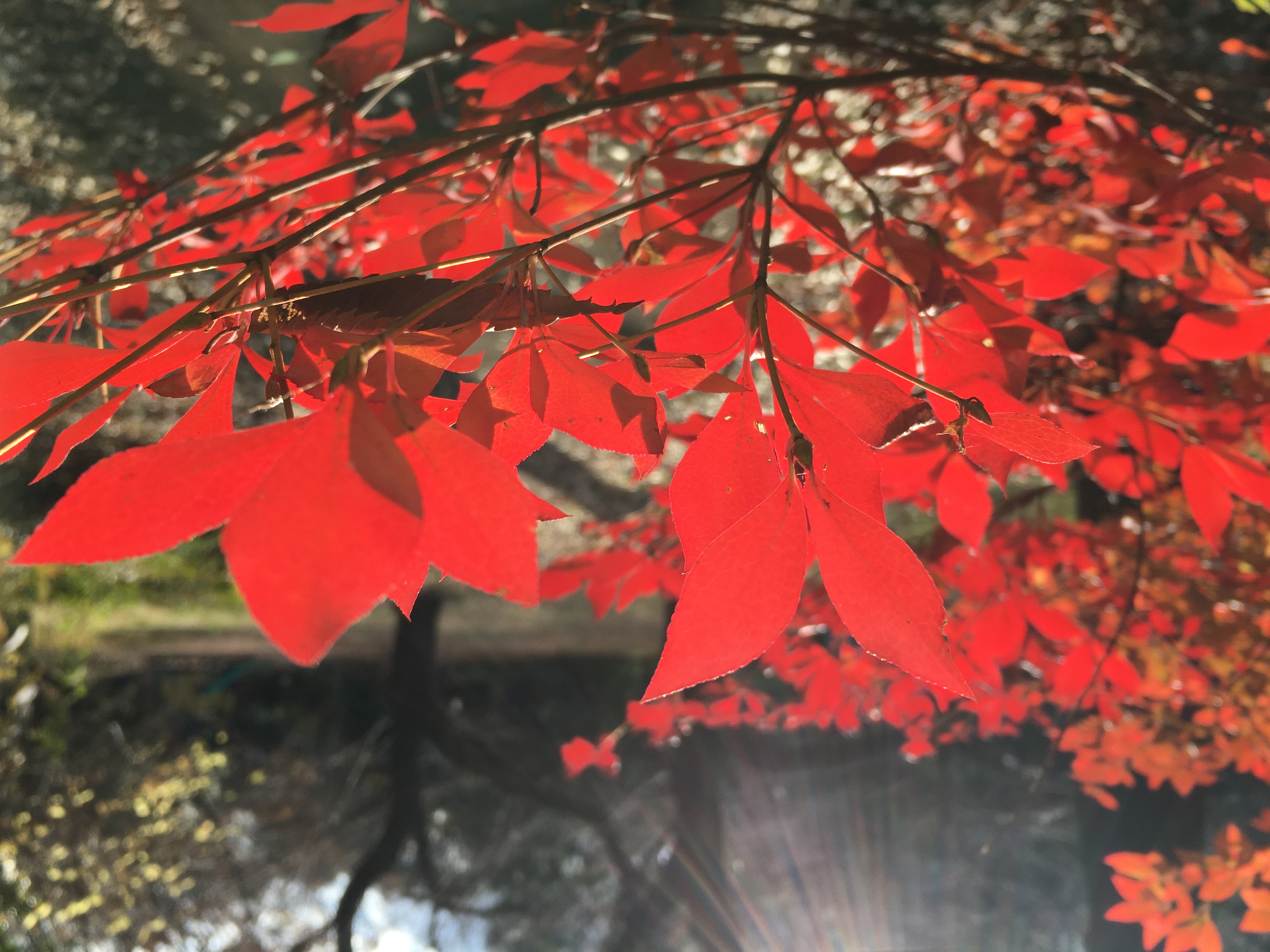 69789E8E-0467-412E-B59B-76E97E3598DC