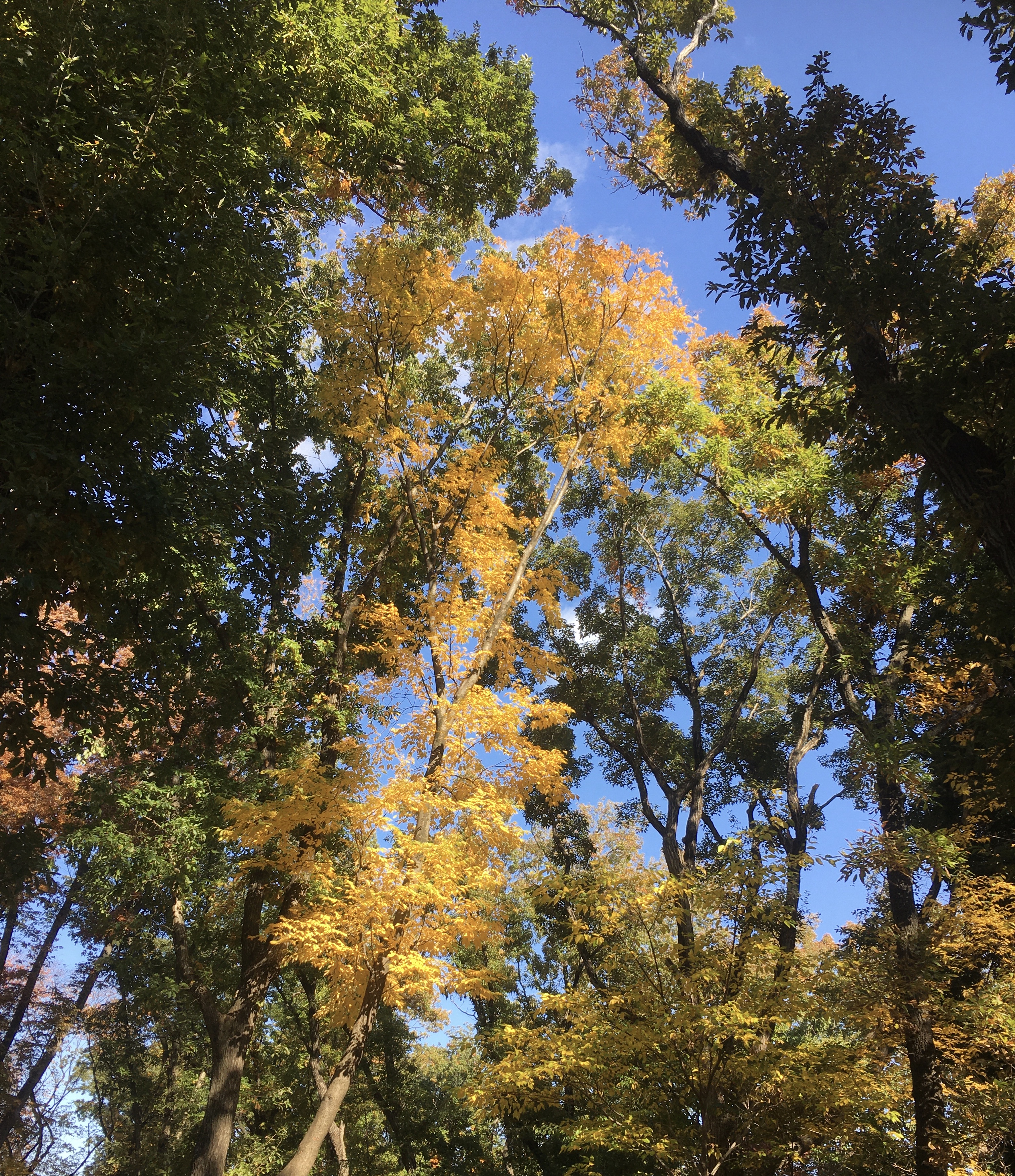 6C4DD2A1-CB98-489F-9356-B5AE2B2CF003