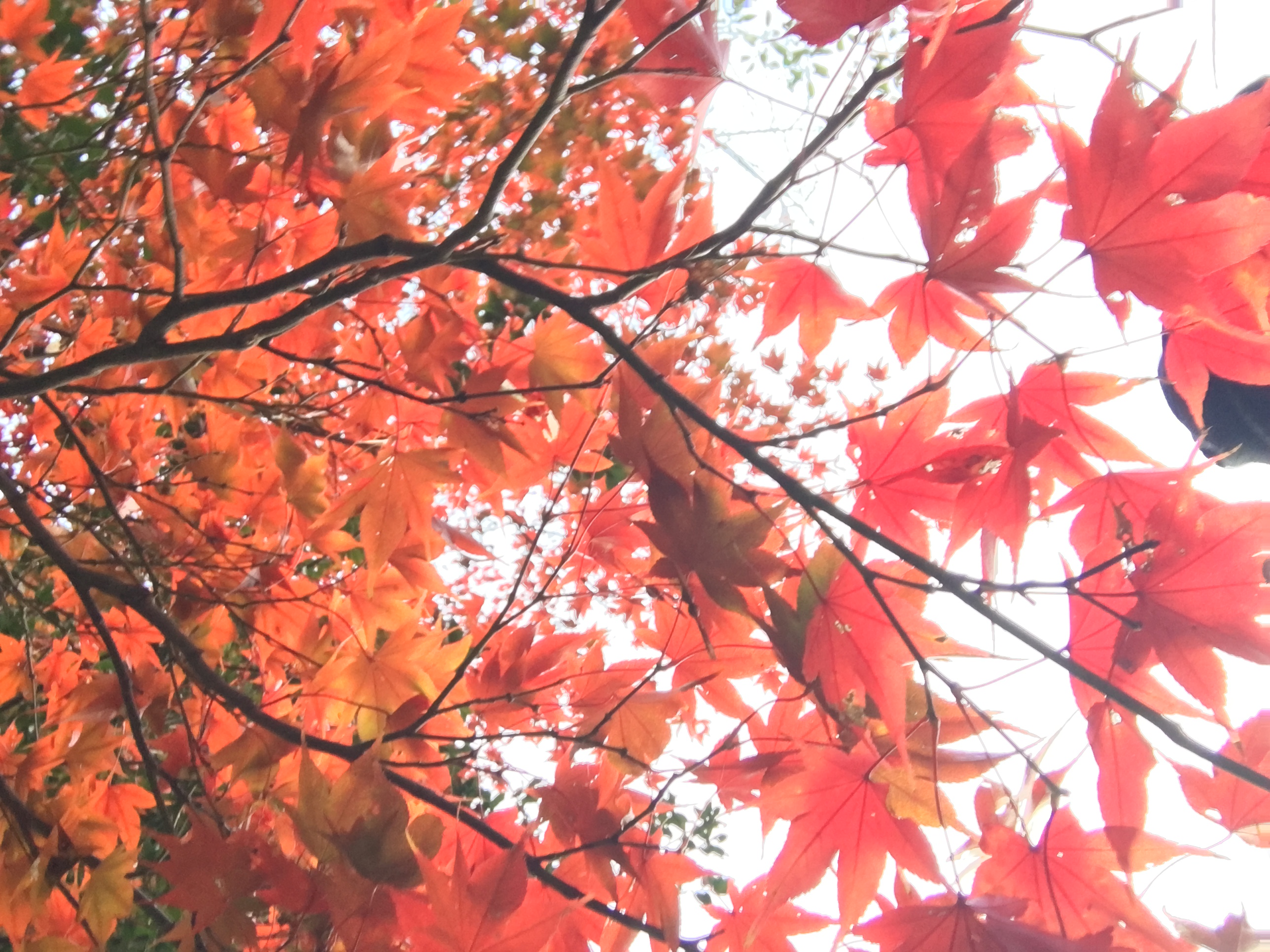 6F689180-77BB-4BBC-A51C-0A6FD1EC88DB