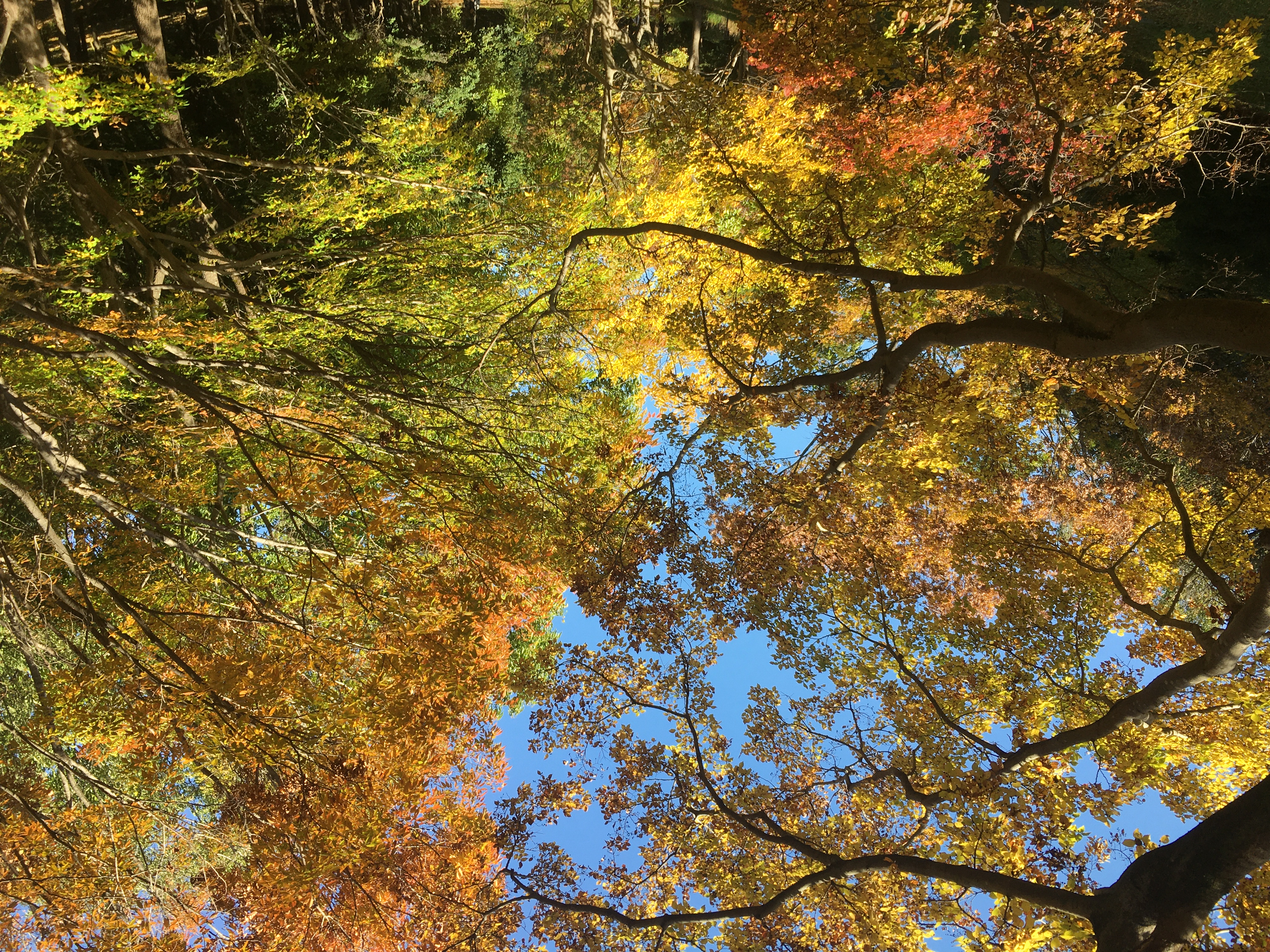 76668FA5-1CA6-47ED-AB55-6E3AE1E7A01E