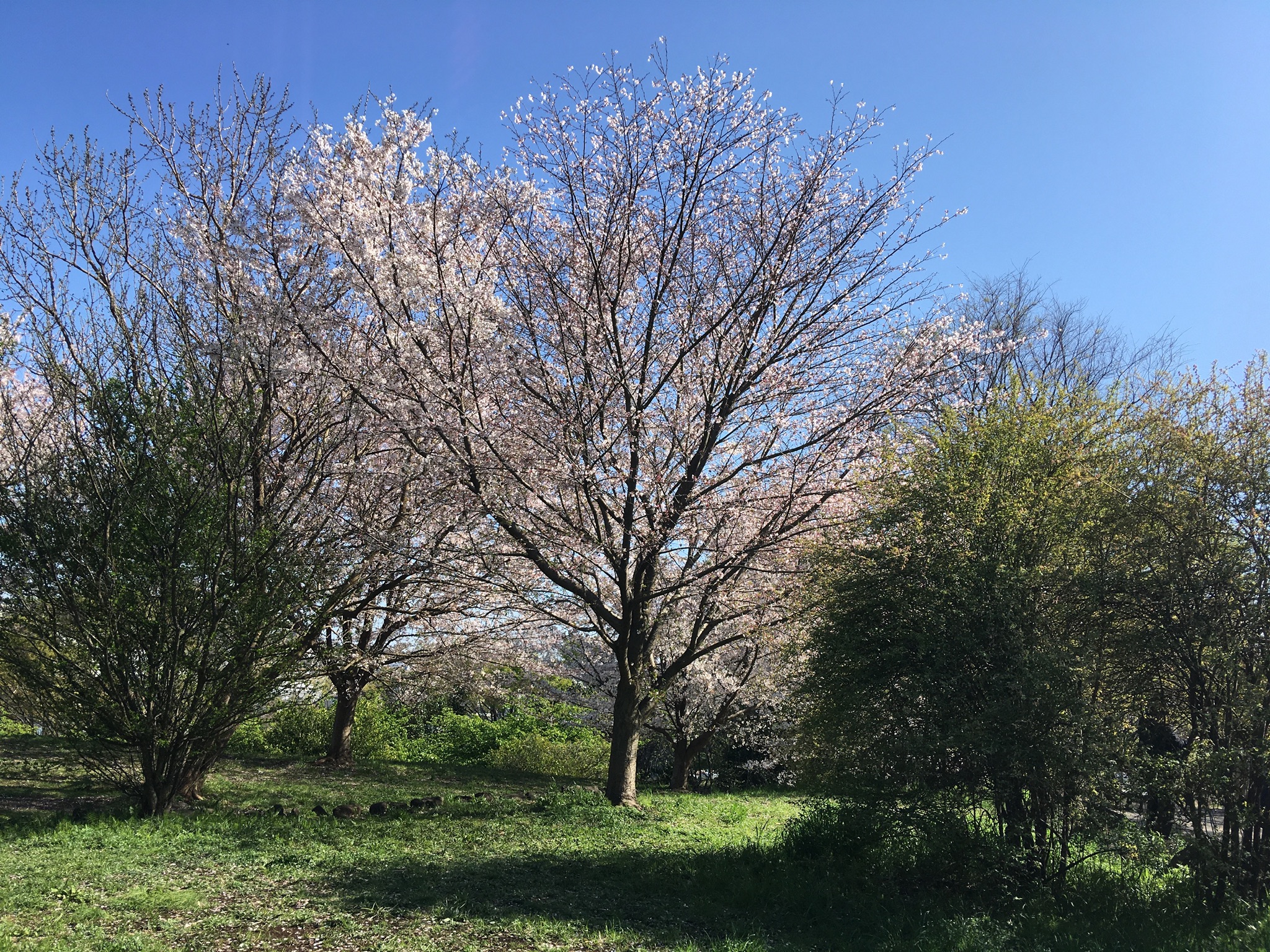 79F7F4B6-FE22-4E5C-8917-18B7D1BF7D21