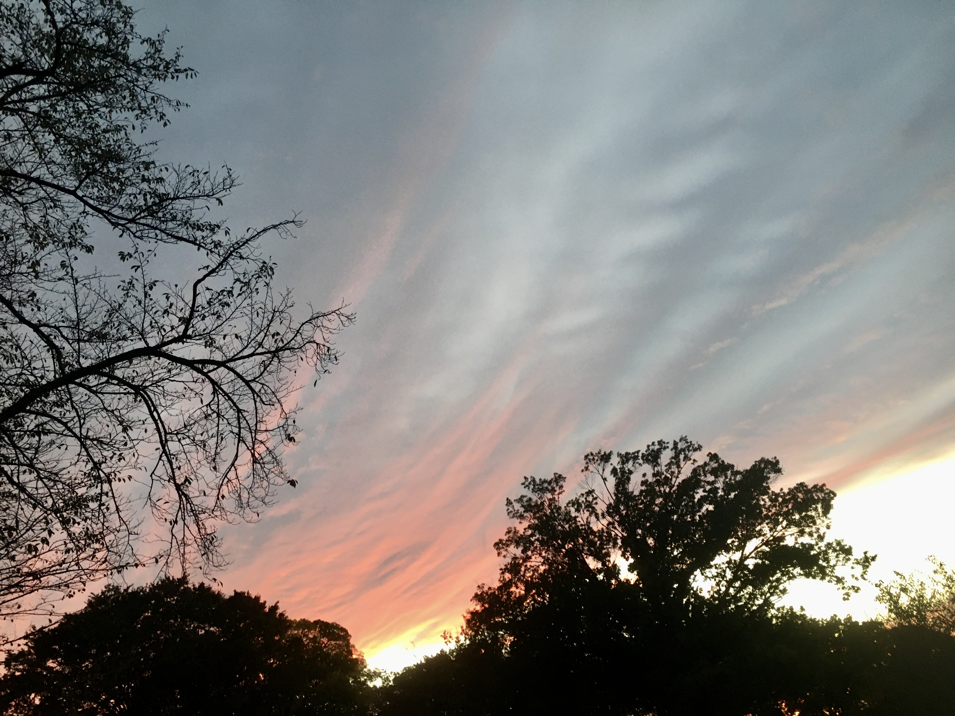 7BCF7DDF-DDE6-4501-BB3E-26FD15D432B7