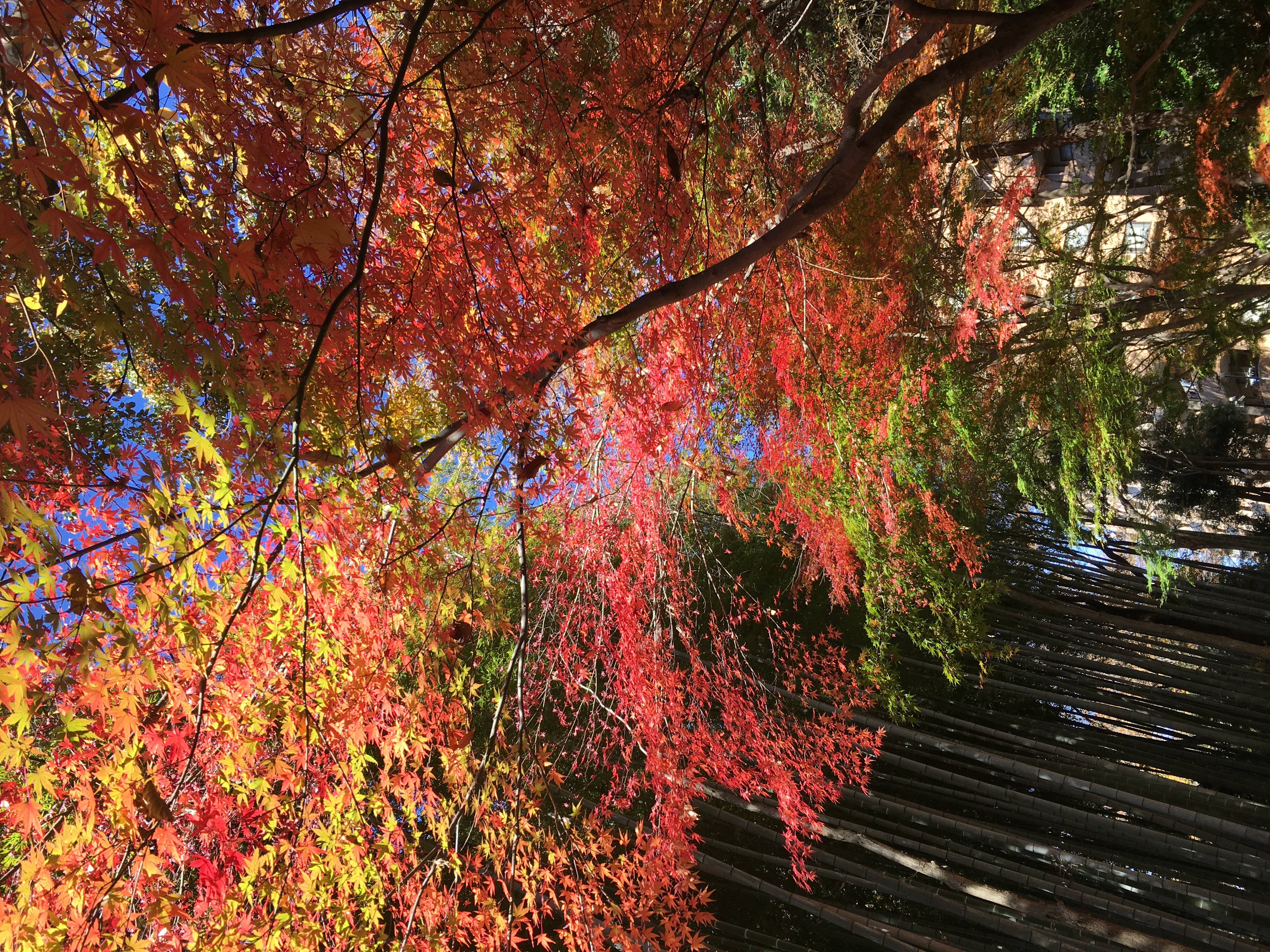 84D38C59-3CD5-4310-8586-A7F0B7858392