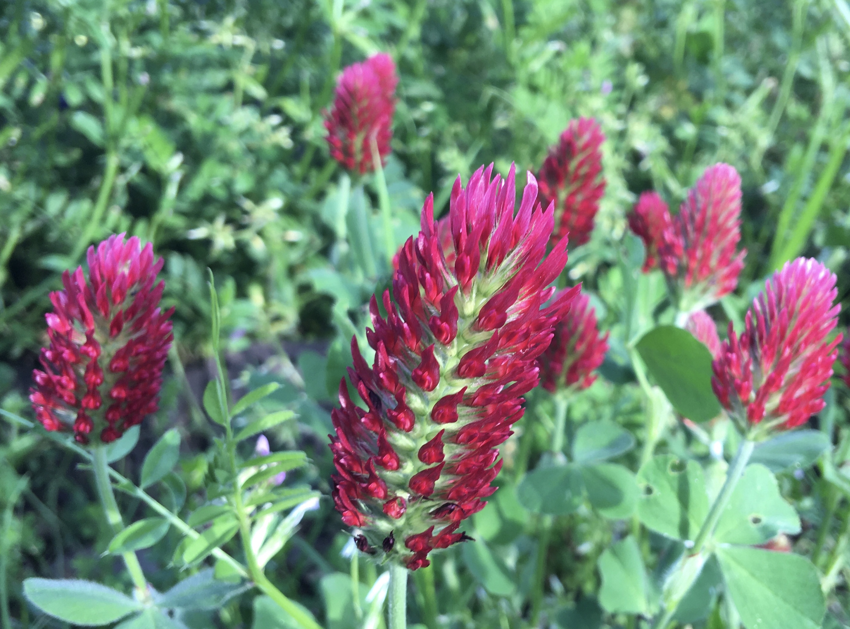 89C3D0BD-E73D-4DC2-8319-A8913F3B4731