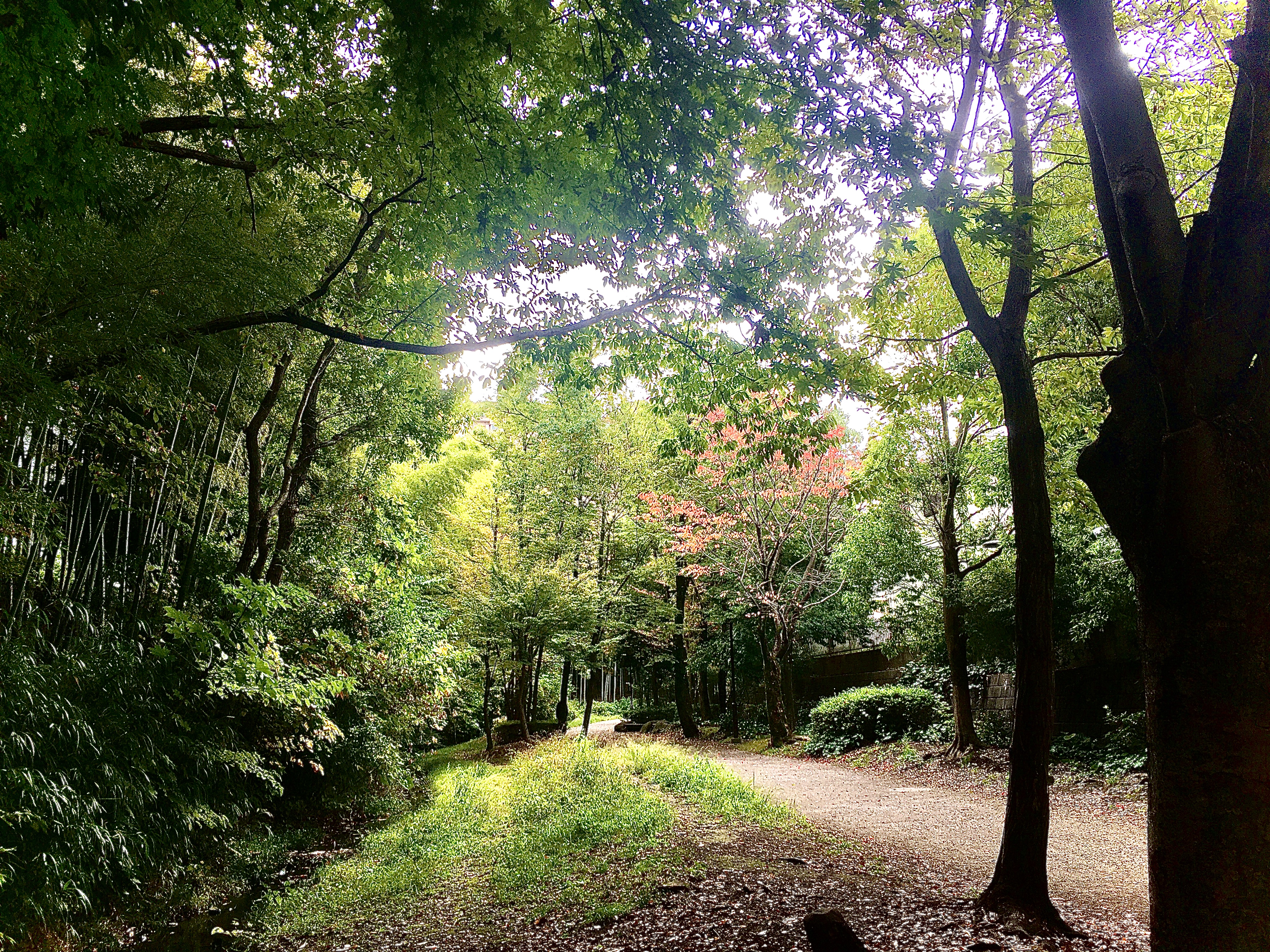 8BF94985-5ECE-40C0-A9BA-C20048812675