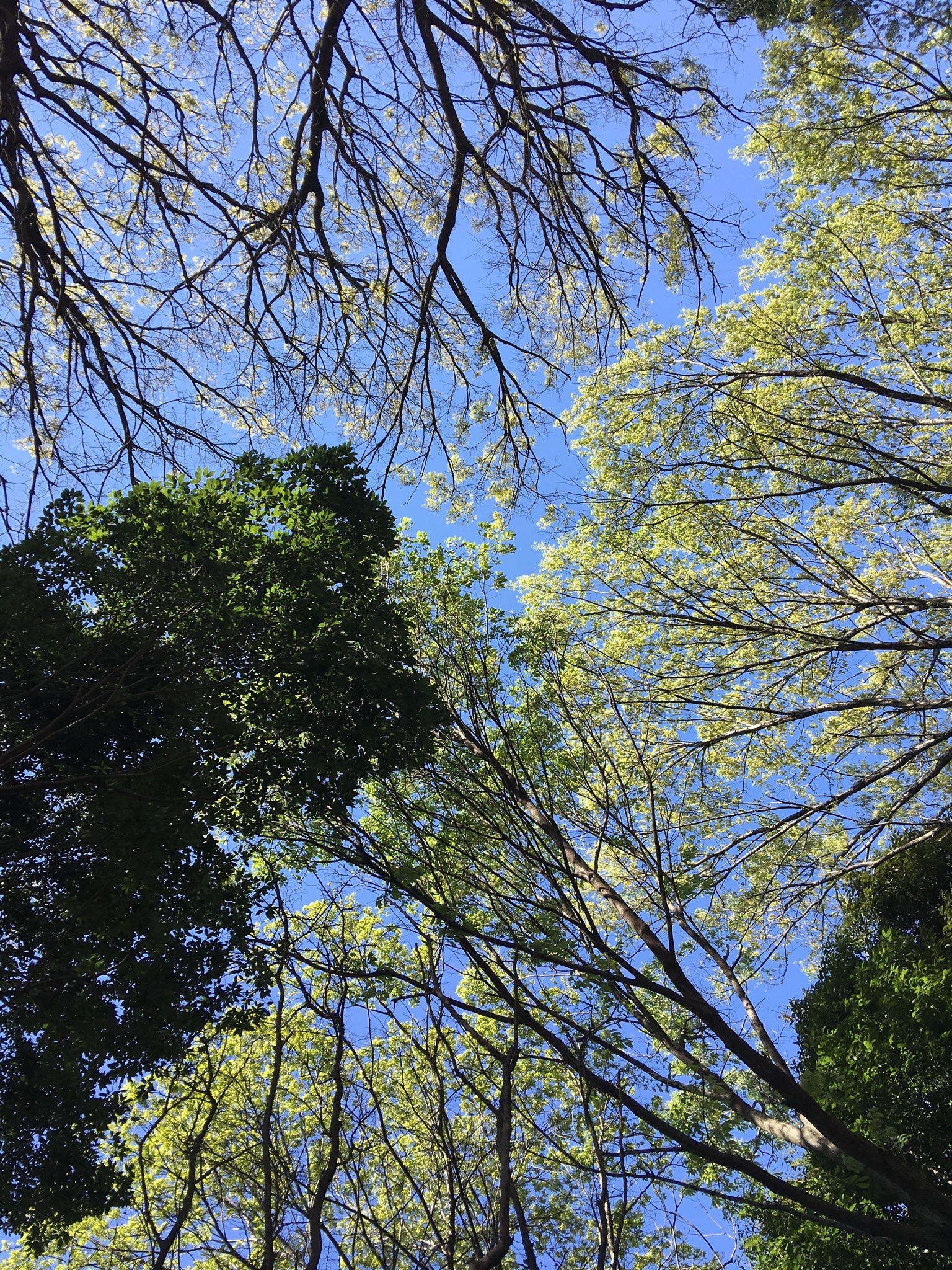 96570B20-A6A5-42A3-AAB2-80329641118D