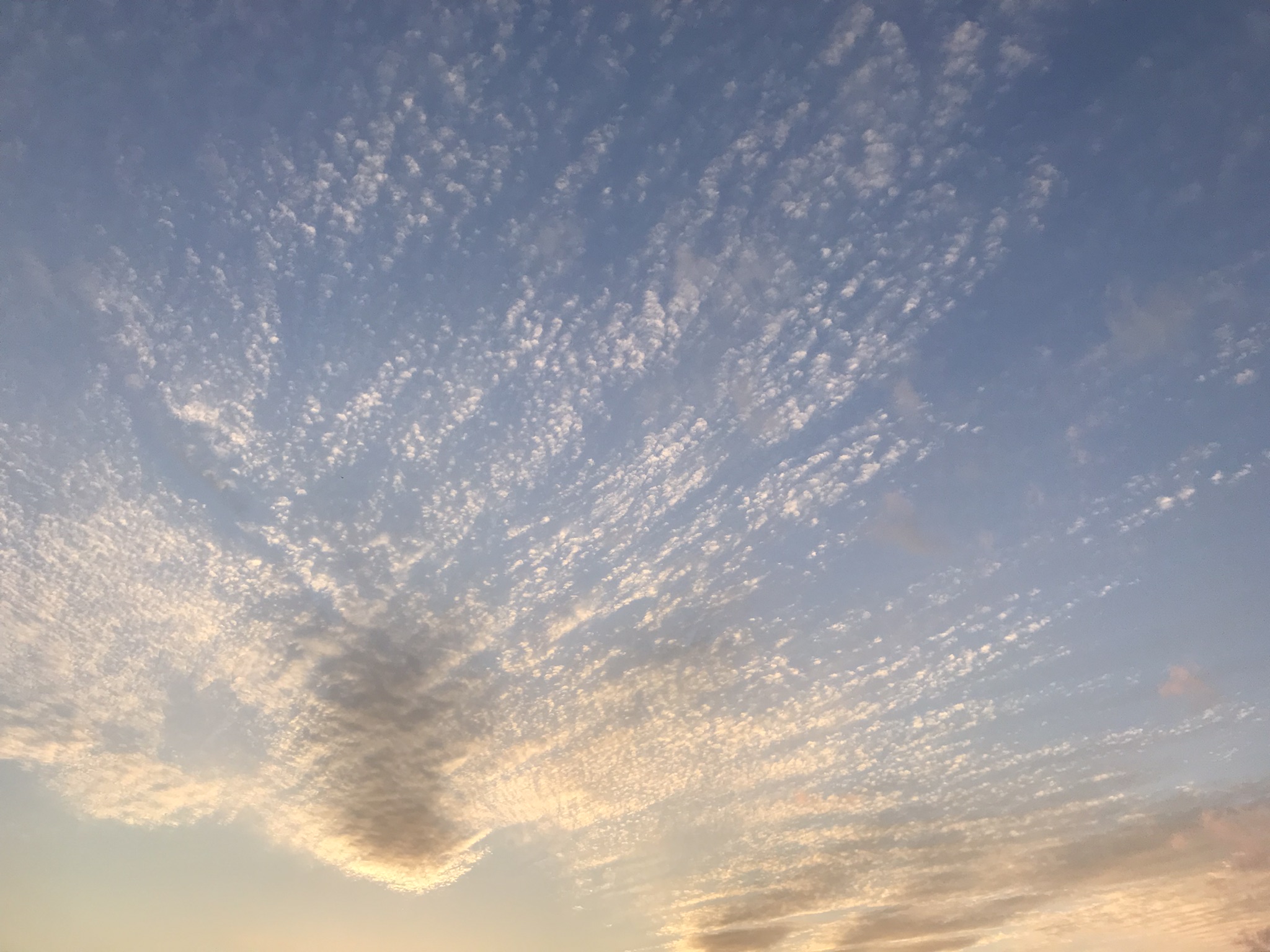 9768B66A-2392-4A2A-8094-7870DECF8714