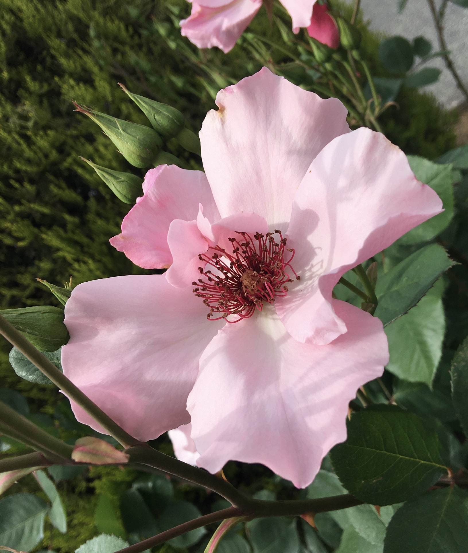 9AB513DD-0C84-48D2-8945-BF99957C50DF