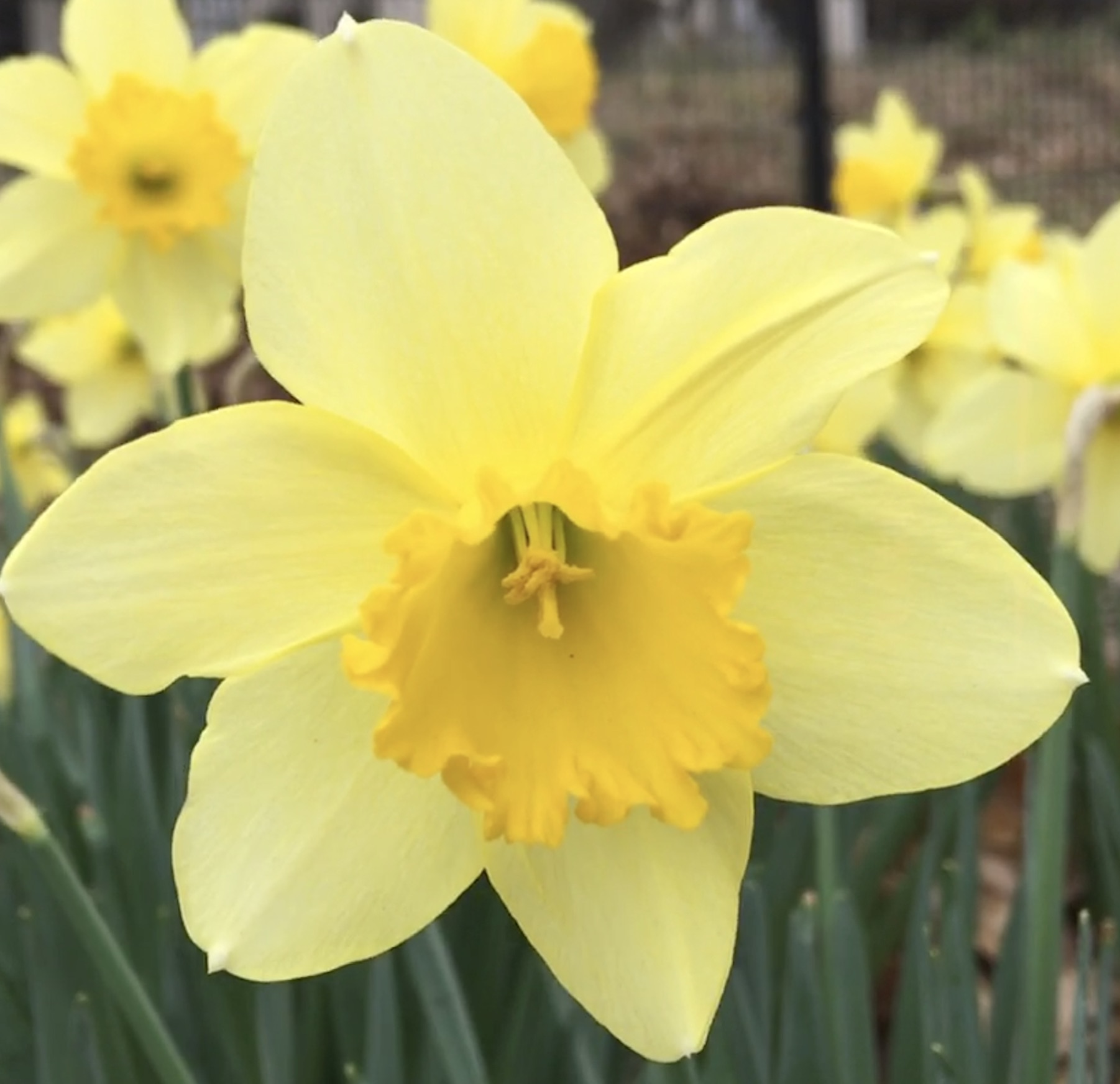 A27CEACE-CE8C-4436-AD70-EC2361CC605E