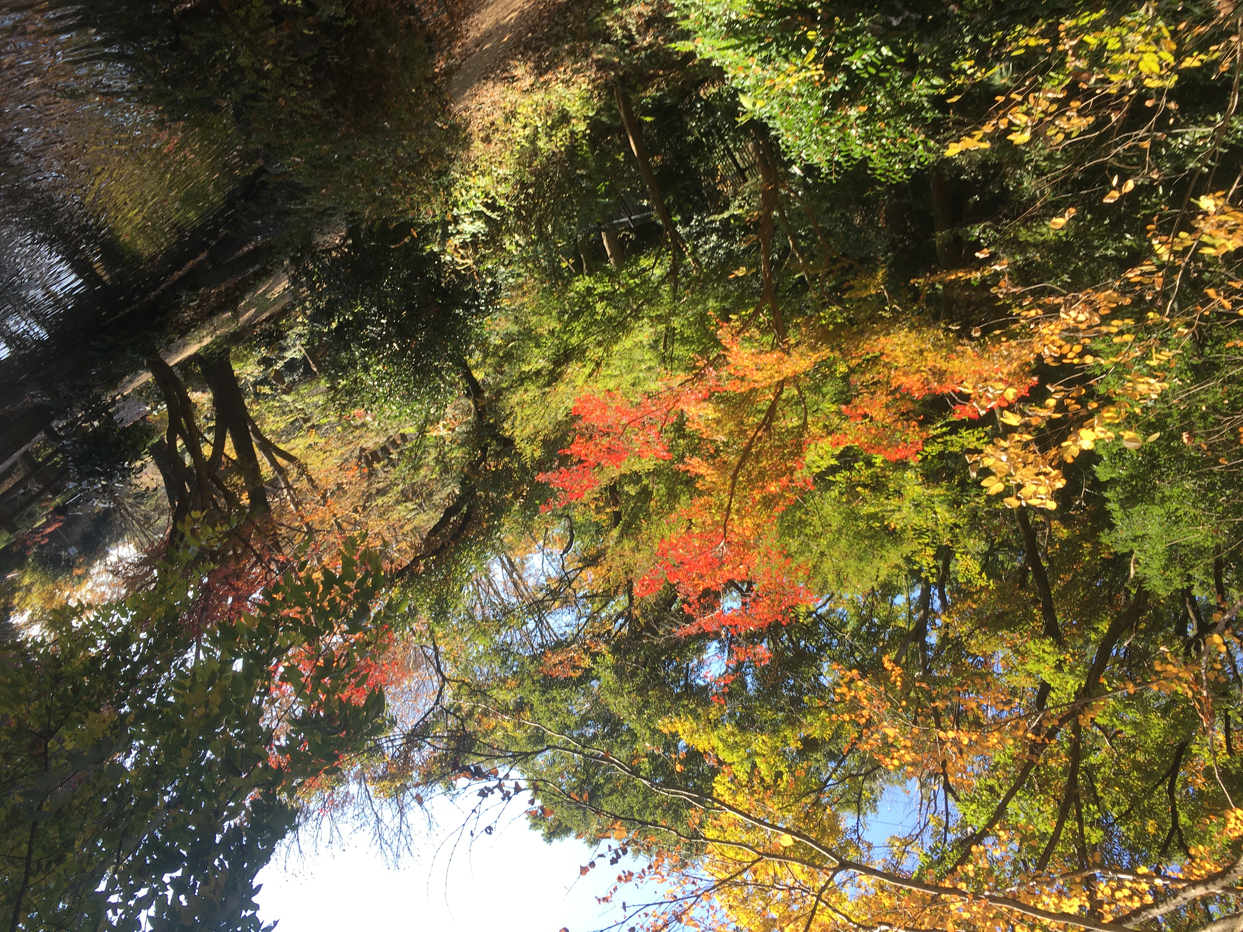 AECF9EA3-4103-433B-AF8E-BBAFE51776CD