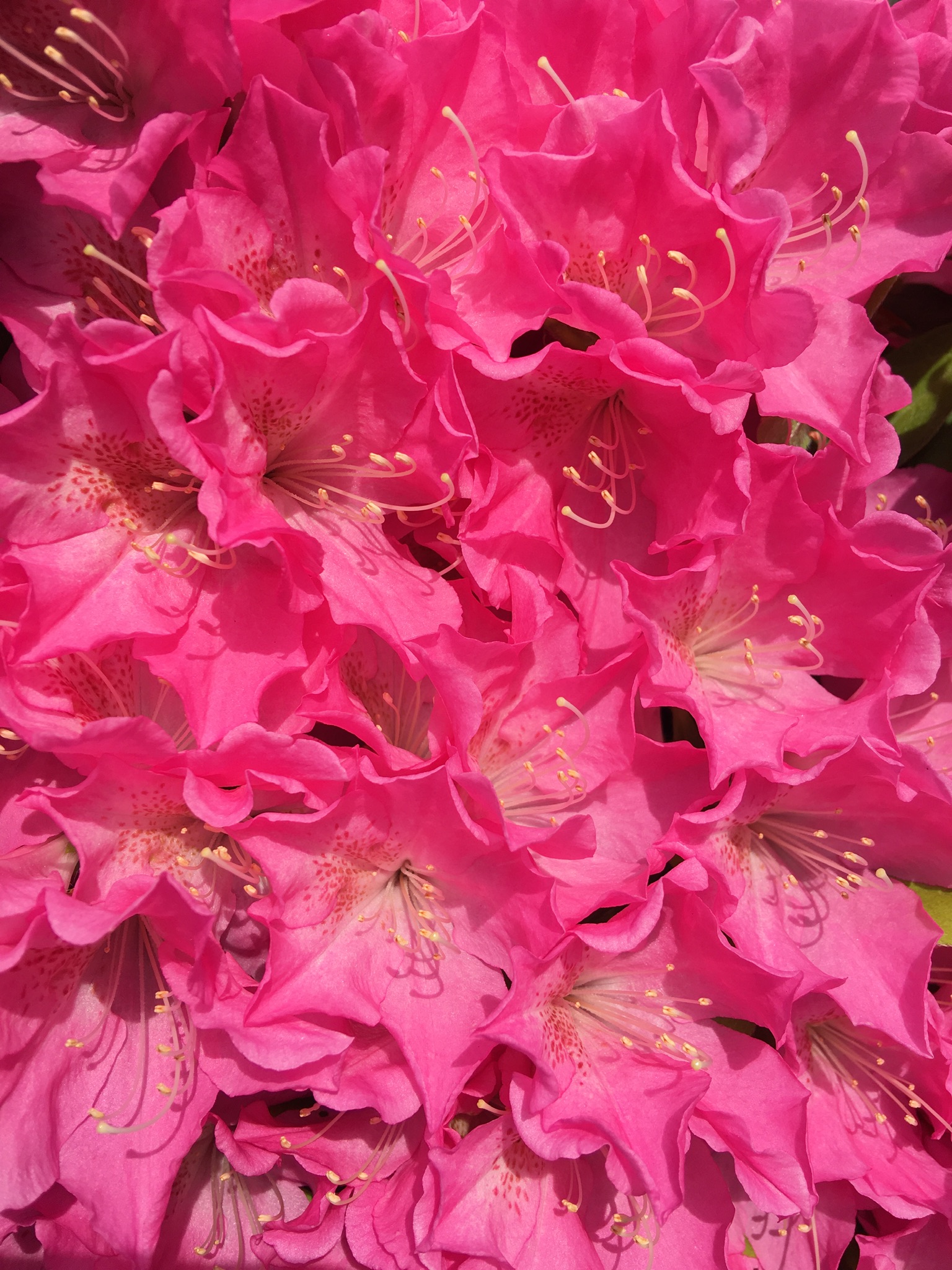 BF63155D-23D3-4EAE-B253-82F20D846B13