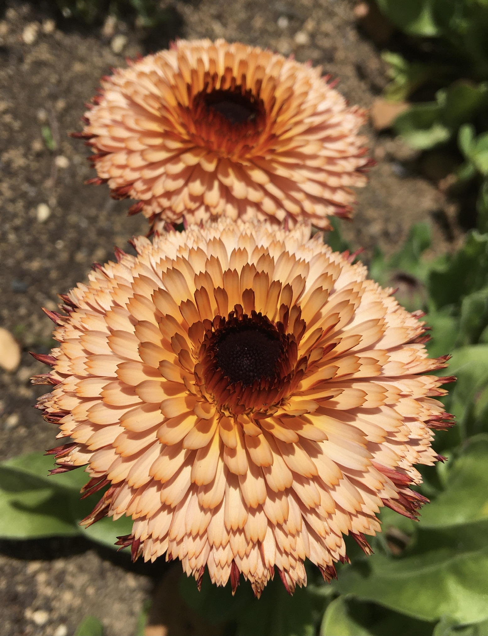 CE587DC0-1BF0-407B-B6F2-FB06682996DD