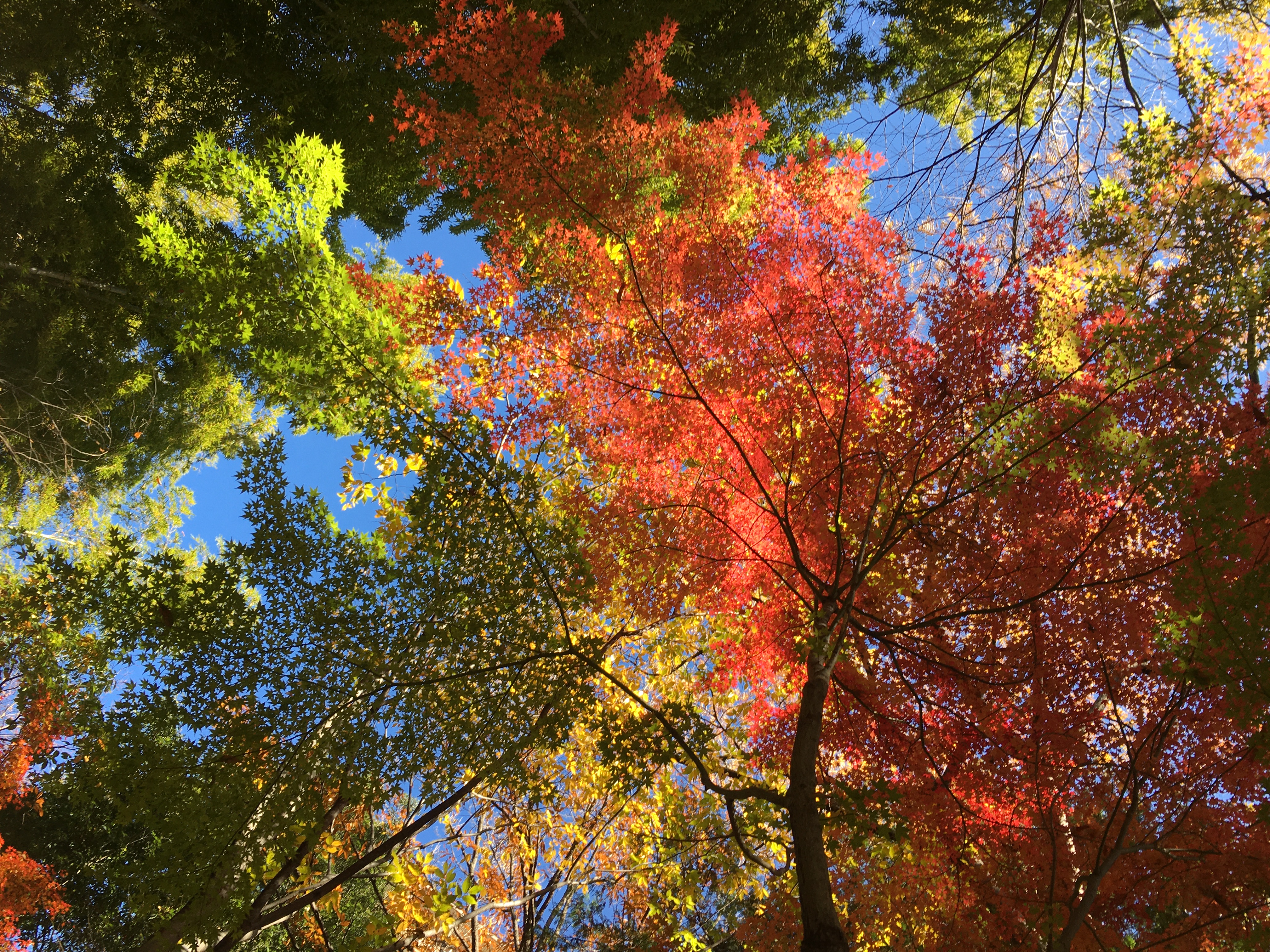 CEBD0DDF-4DE7-40EF-B967-BD783CD27631