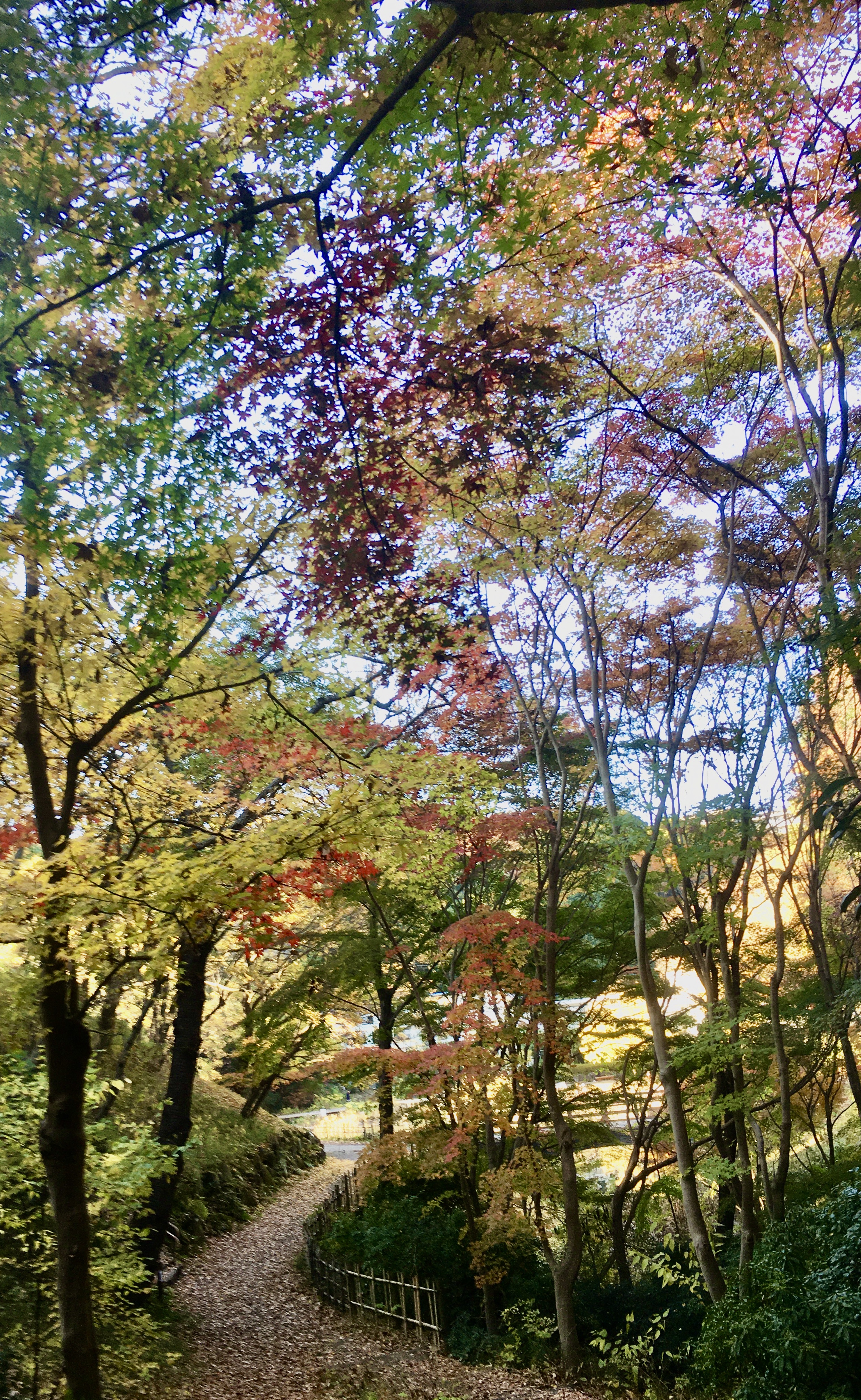 D01135B0-94D9-4541-84A7-A8B9BFD28372