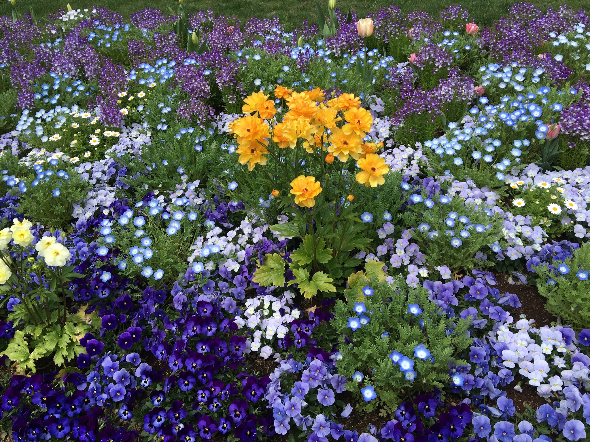 D114B676-5D98-4358-B13D-9C15F9ACFAB8