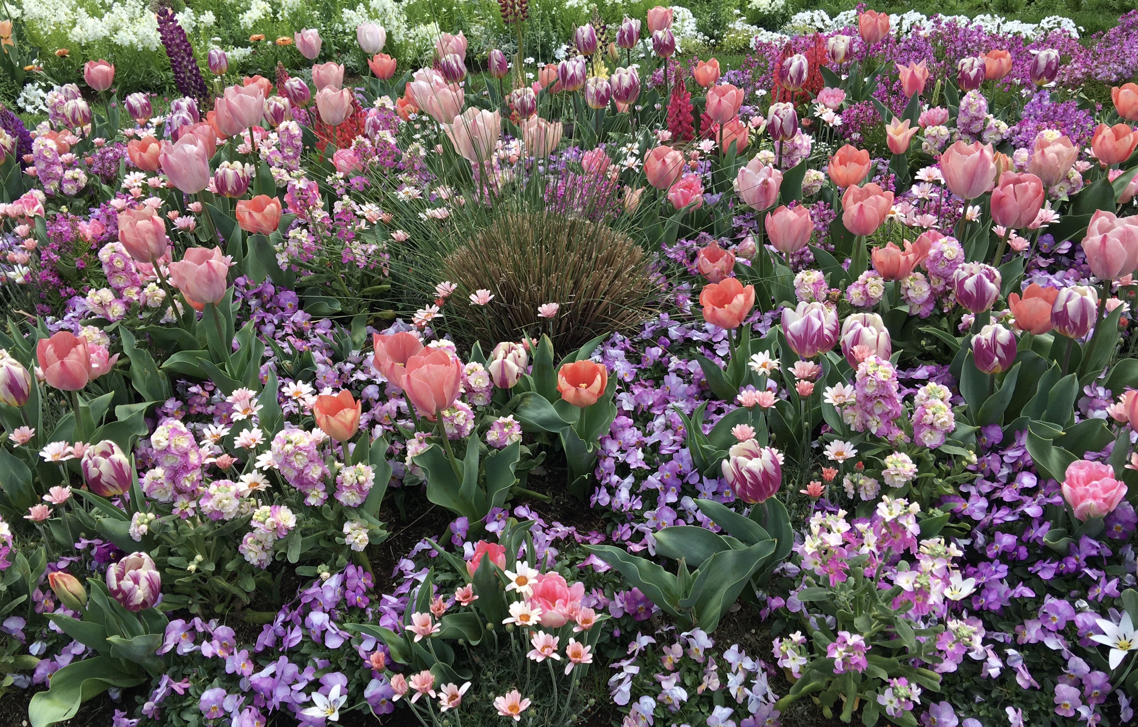 D2D69125-1B6B-4DA4-8A58-1EA5A00BA0D9