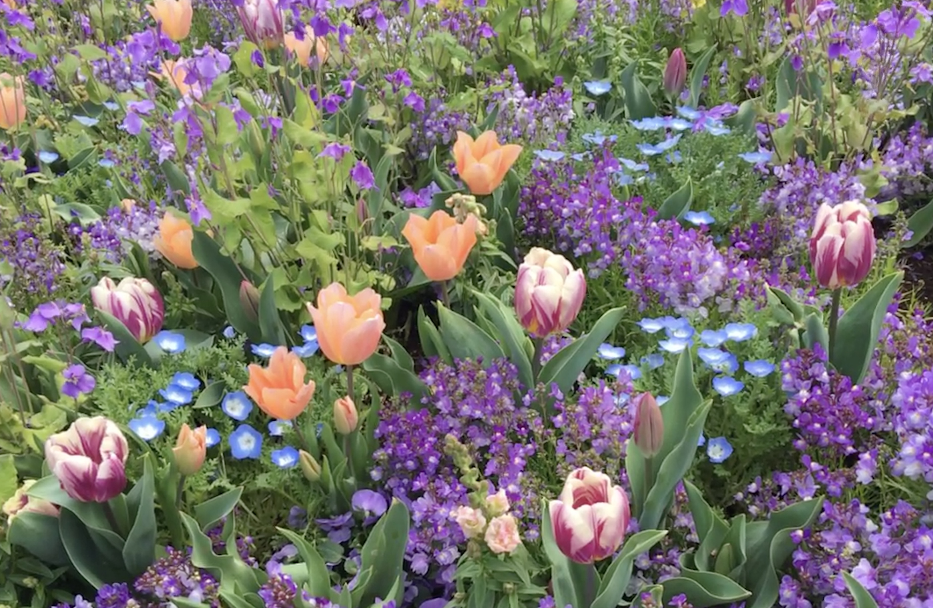 D624B14F-796F-4FA9-A4FA-6AADF252881B