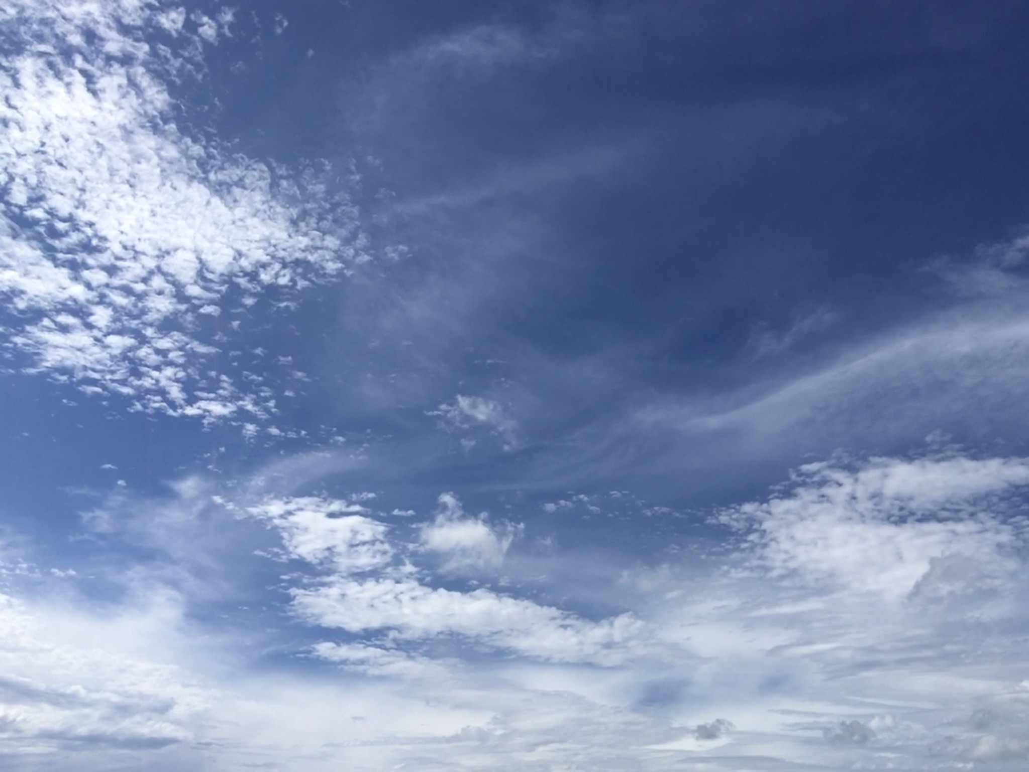 D71E6D15-8A0D-4466-B00D-61ECE9D91C01
